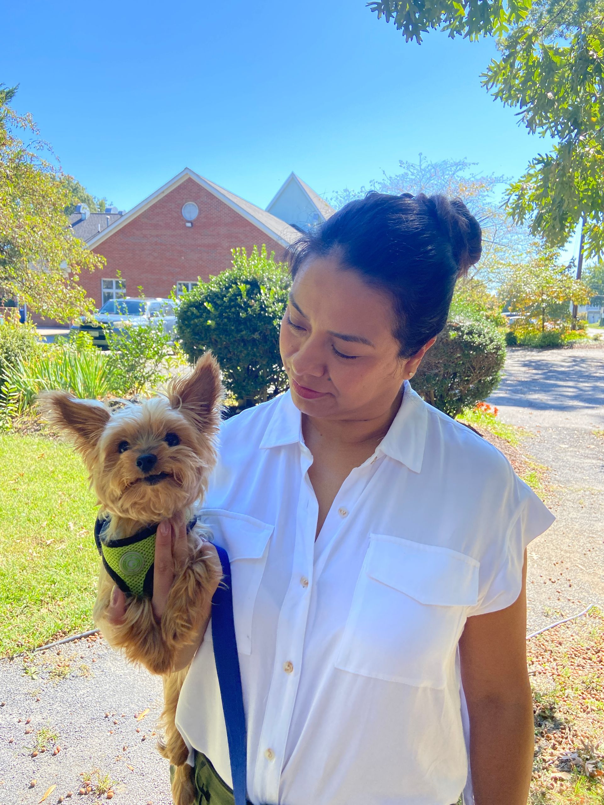 Pet Blessings
