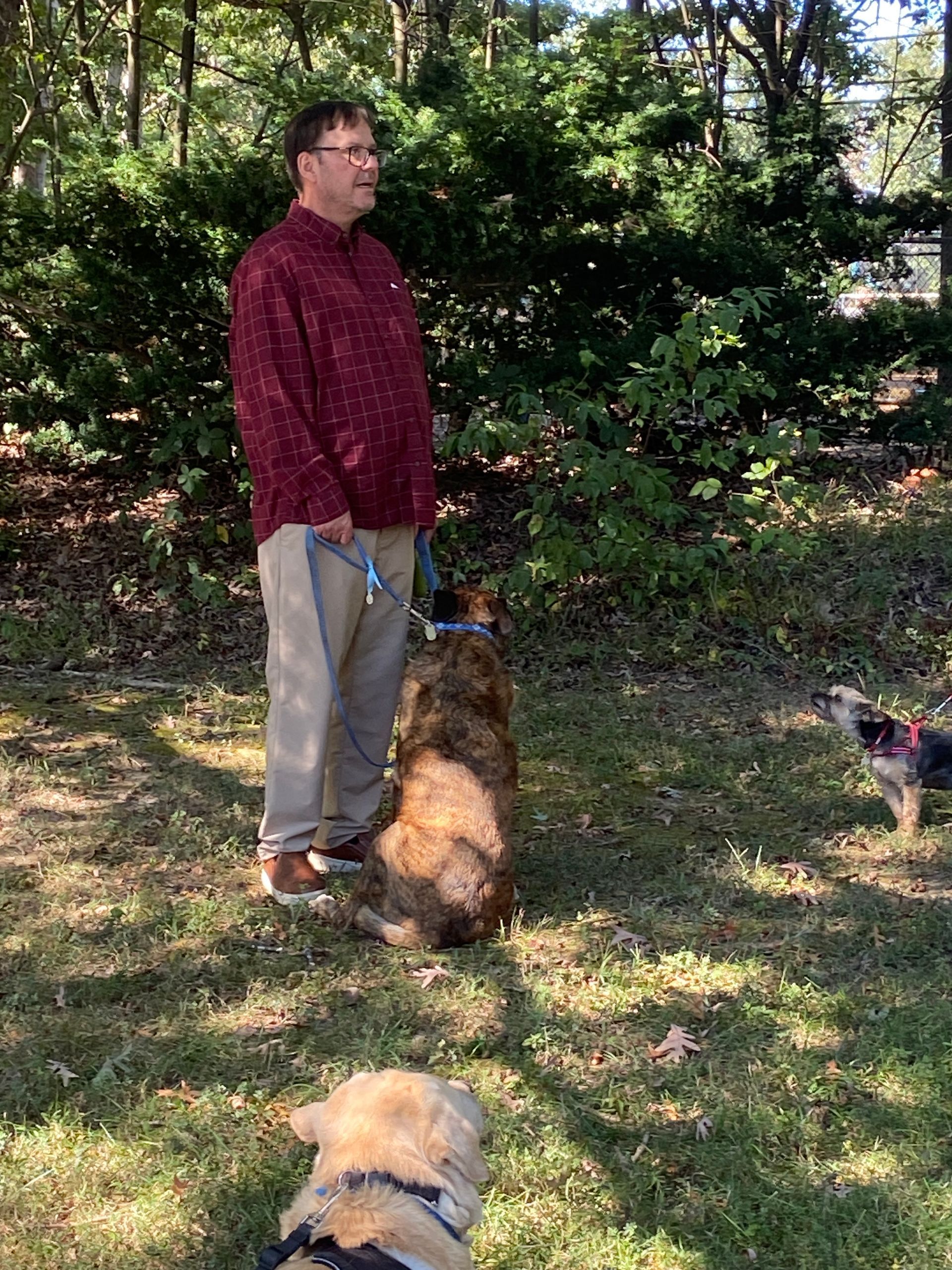 Pet Blessings