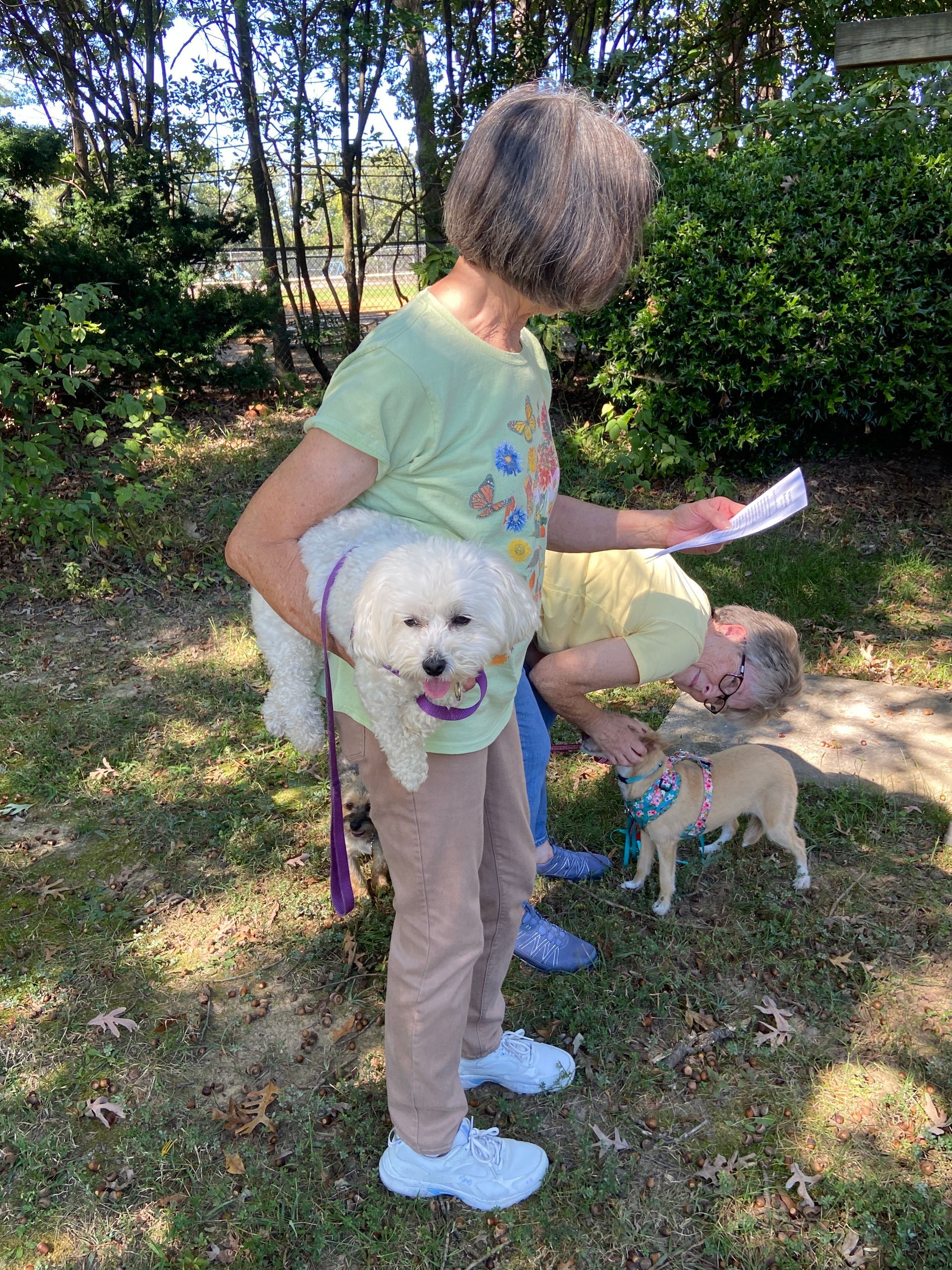 Pet Blessings