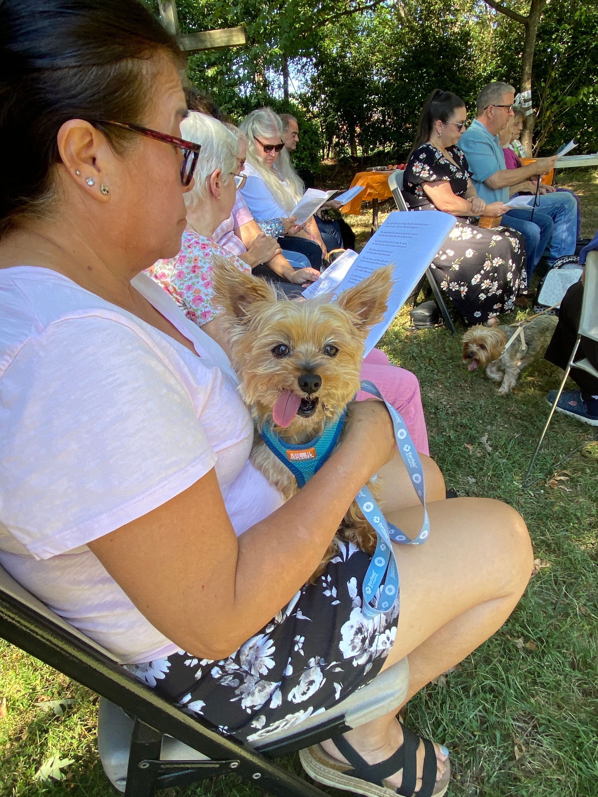 Pet Blessings