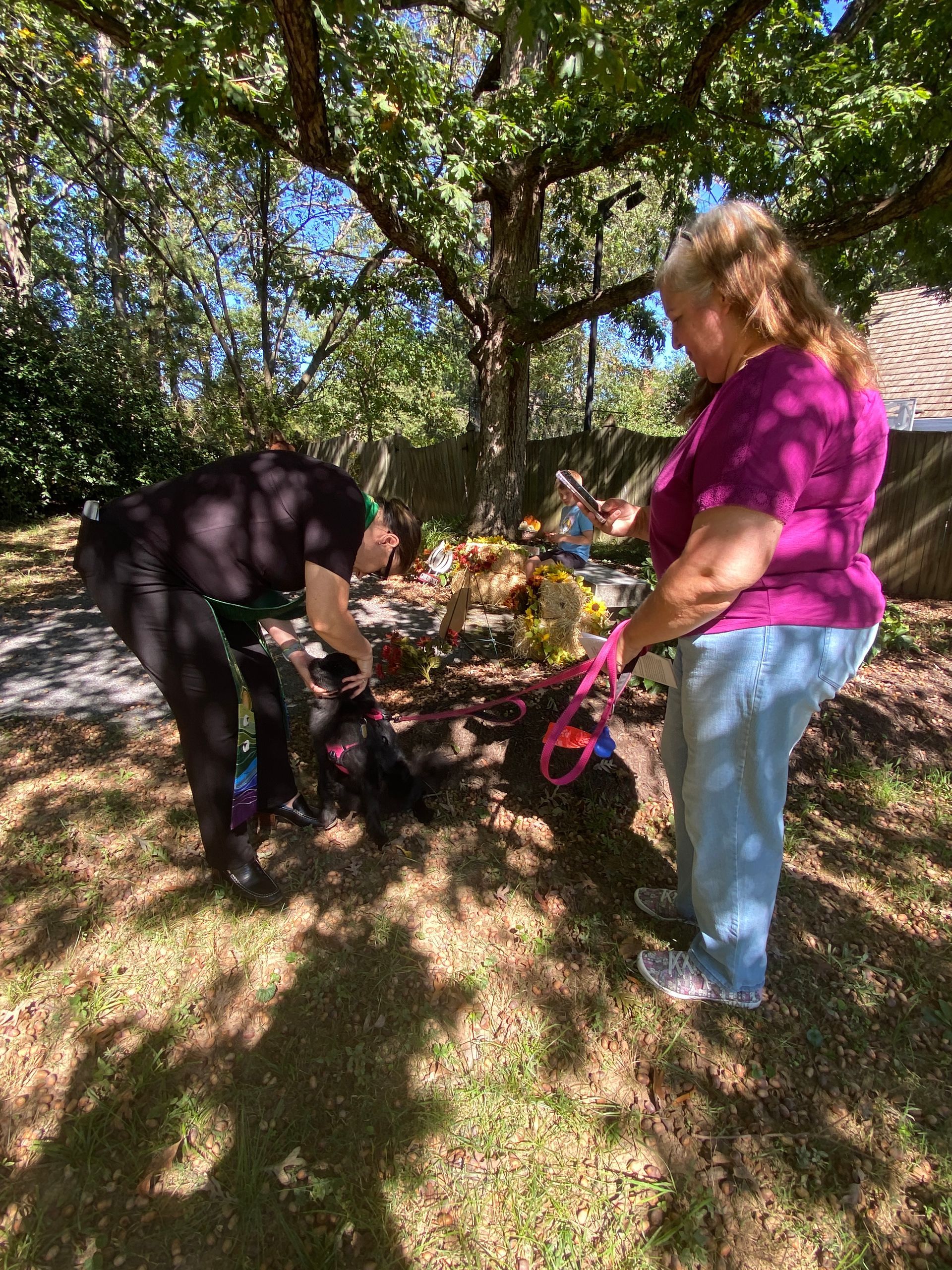 Pet Blessings