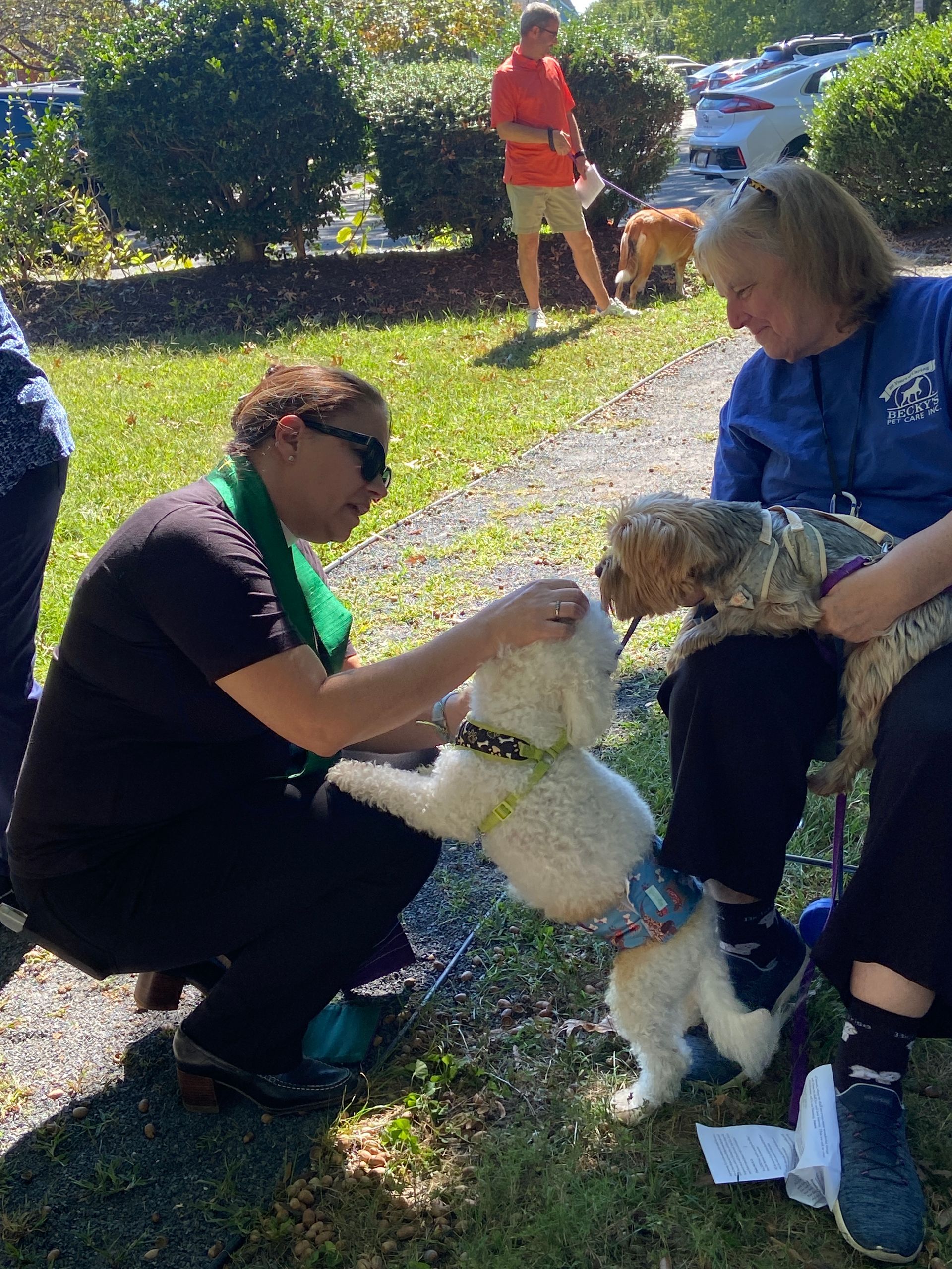 Pet Blessings