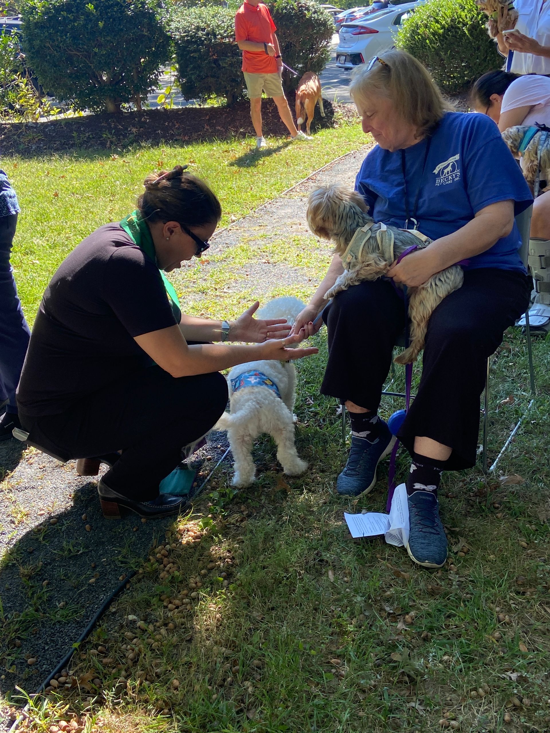 Pet Blessings