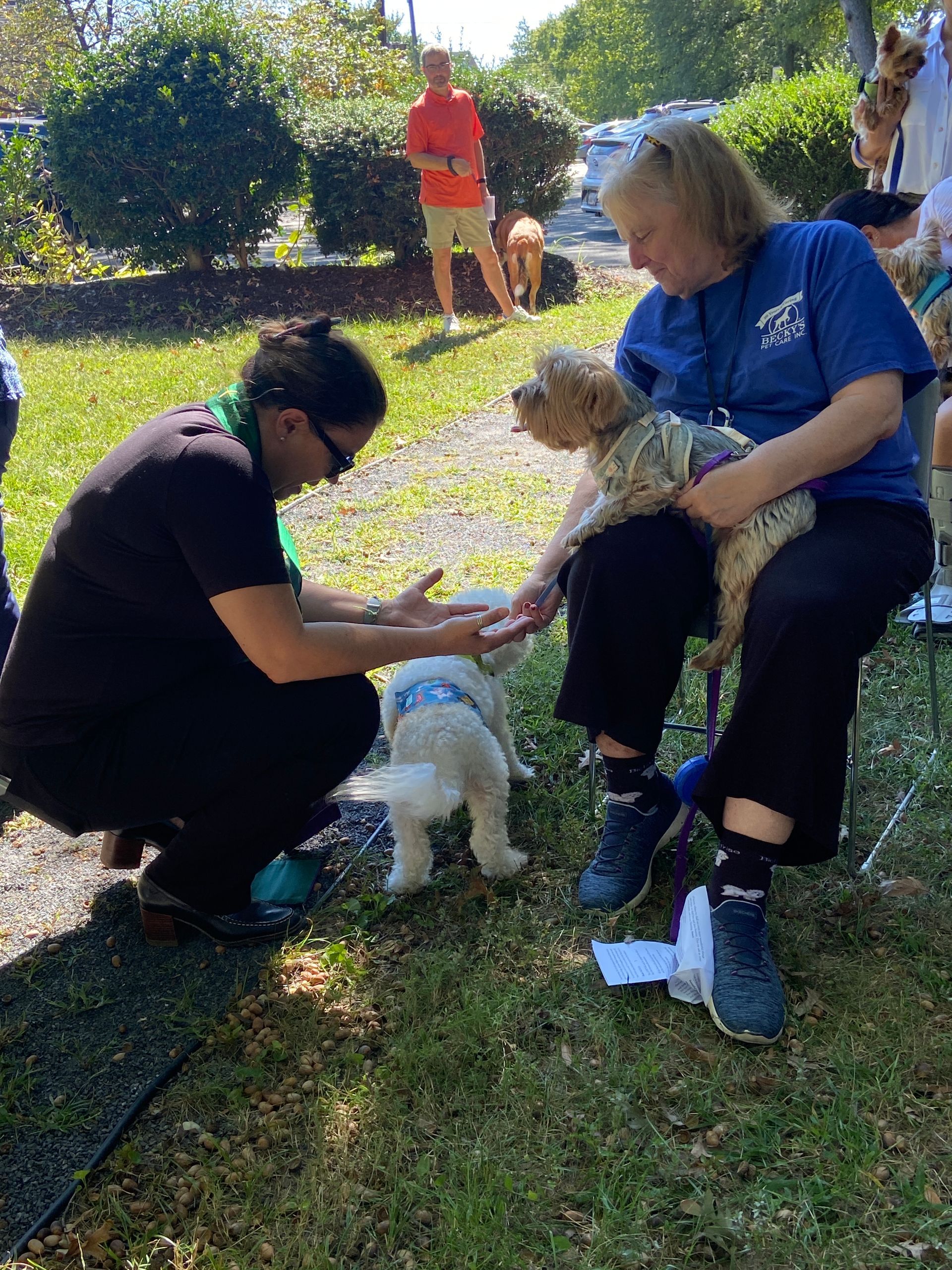 Pet Blessings