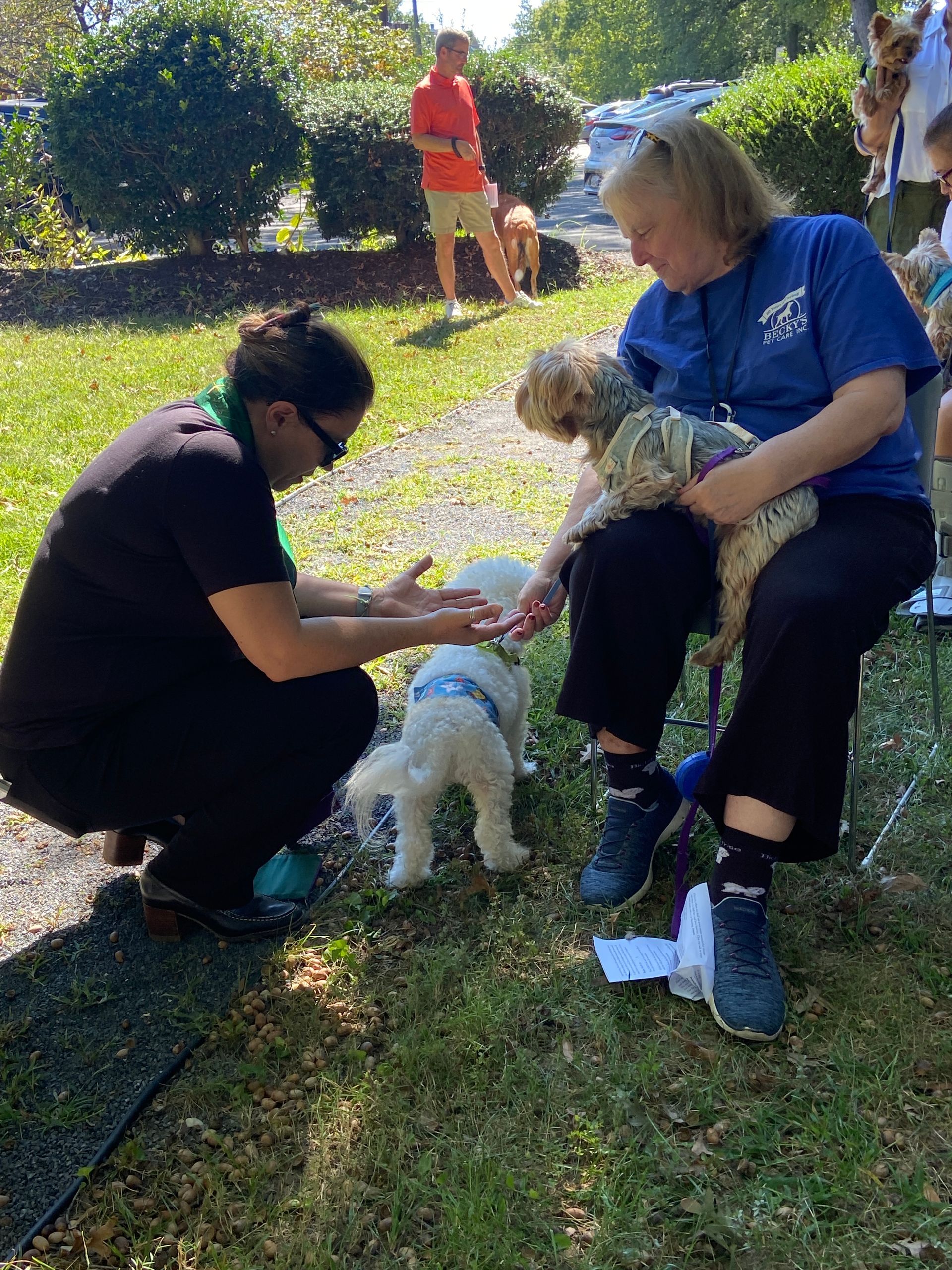 Pet Blessings