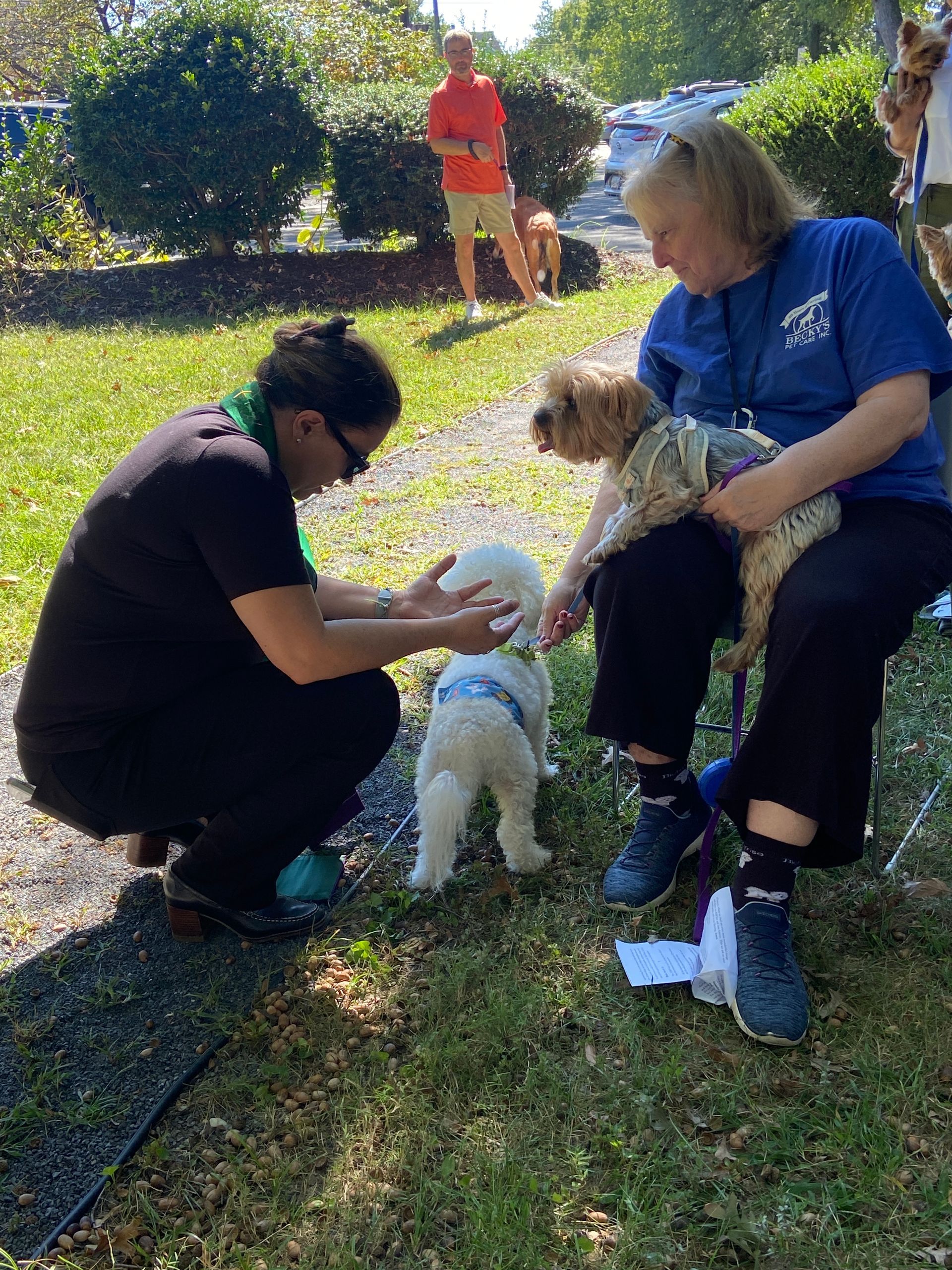 Pet Blessings