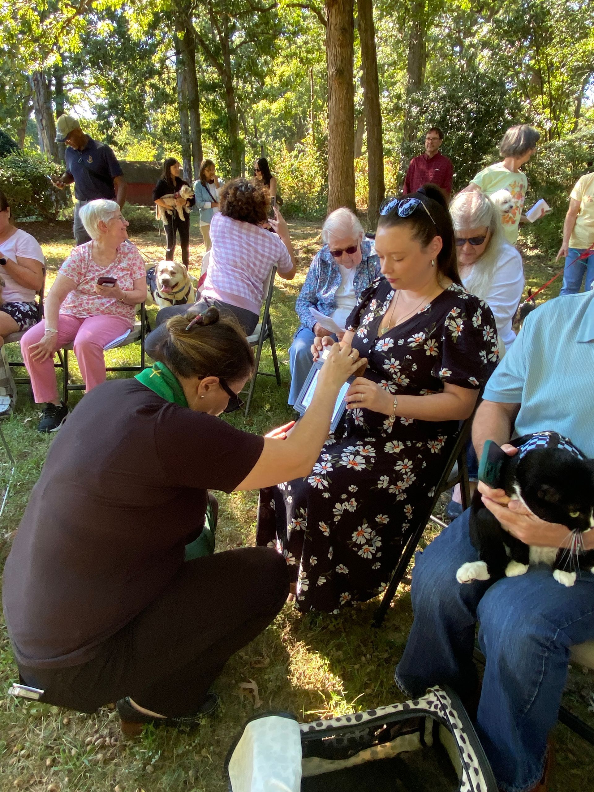 Pet Blessings