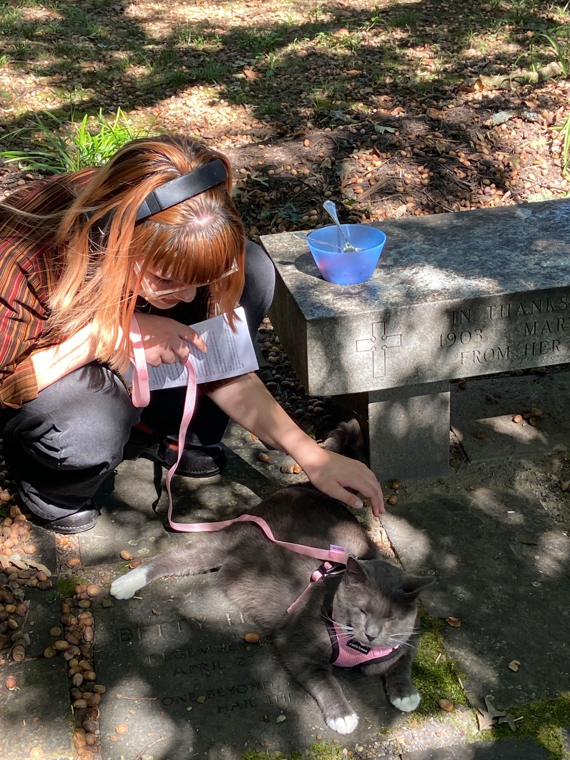 Pet Blessings