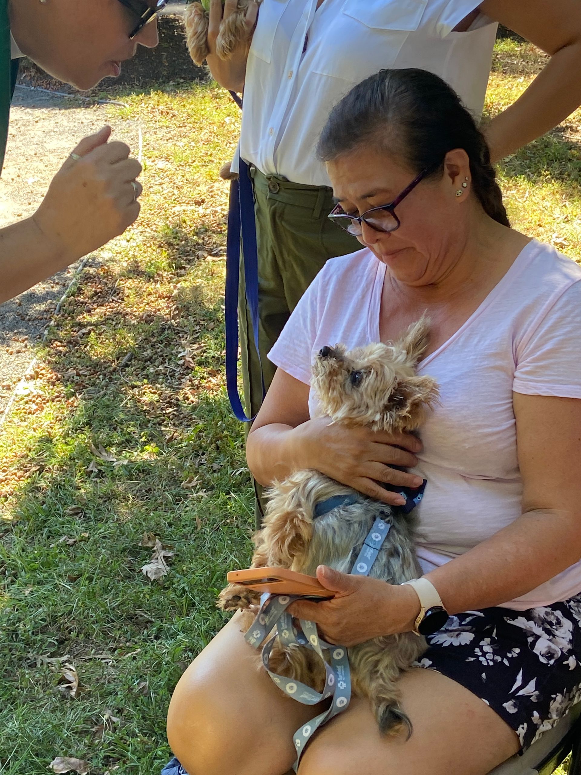 Pet Blessings