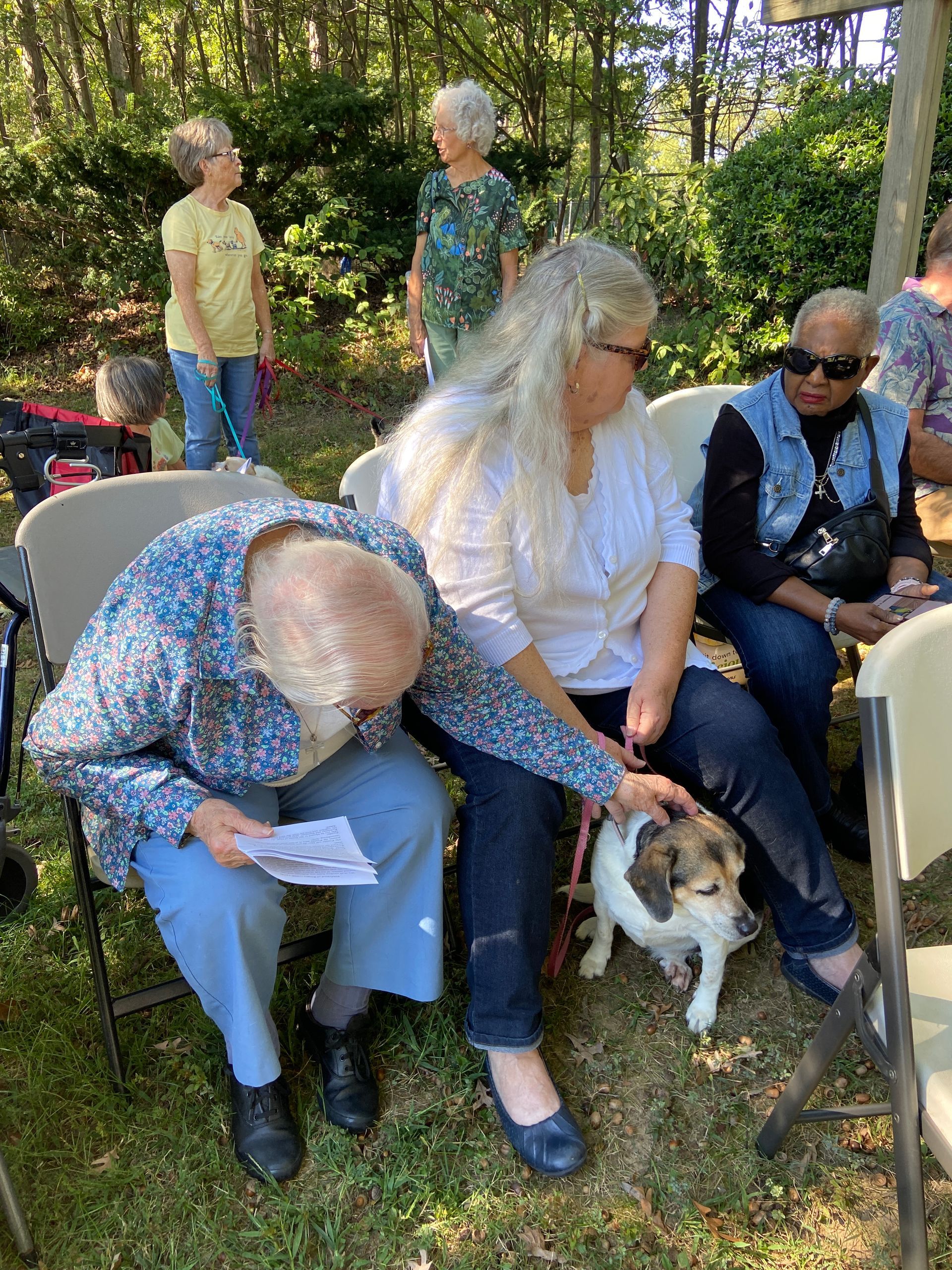 Pet Blessings
