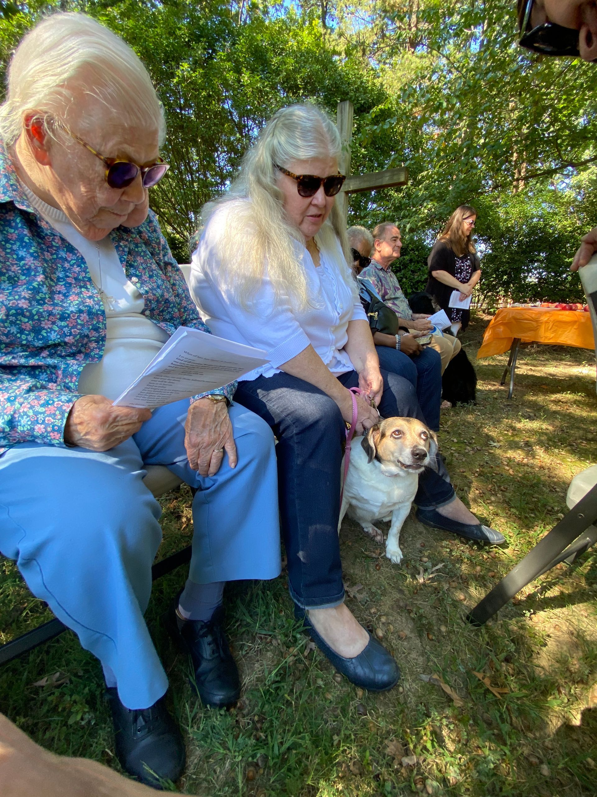 Pet Blessings