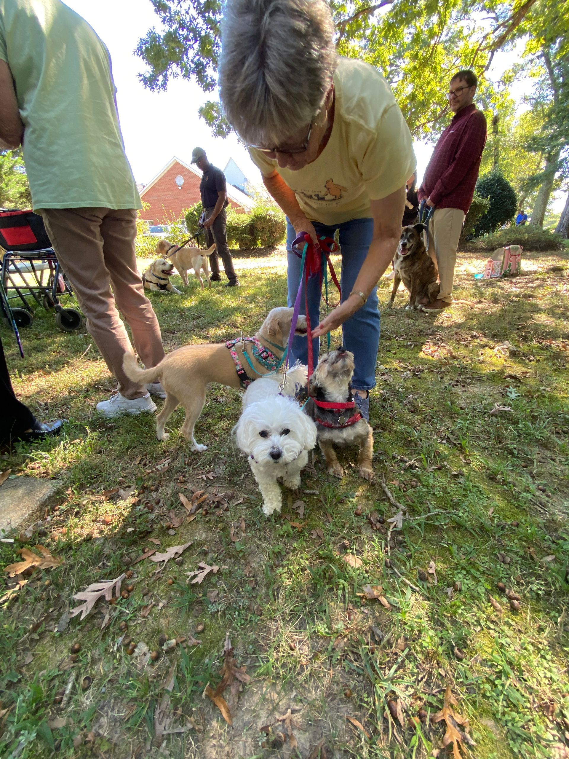 Pet Blessings