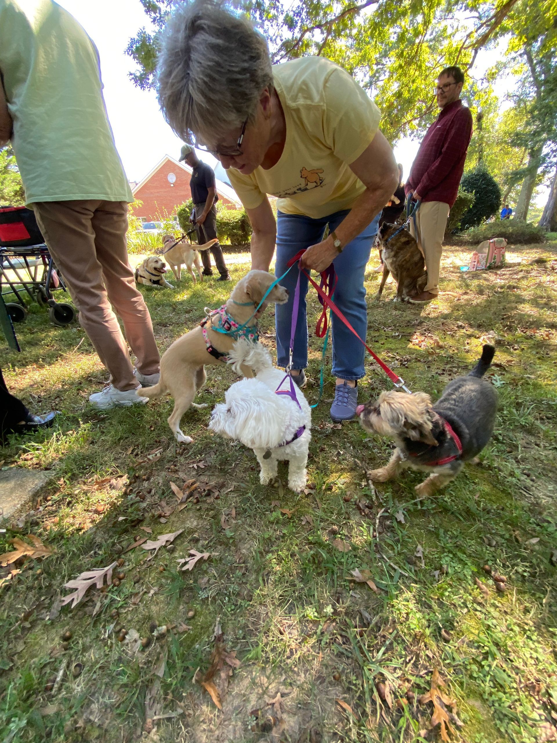 Pet Blessings