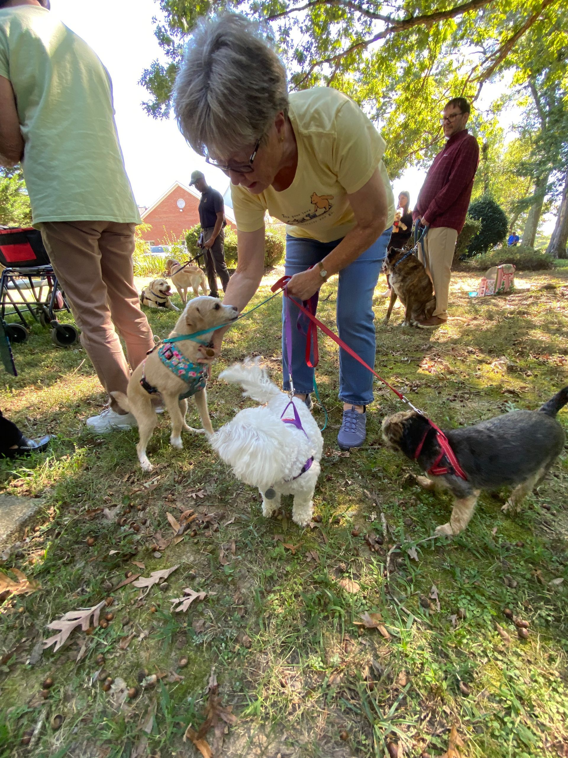 Pet Blessings