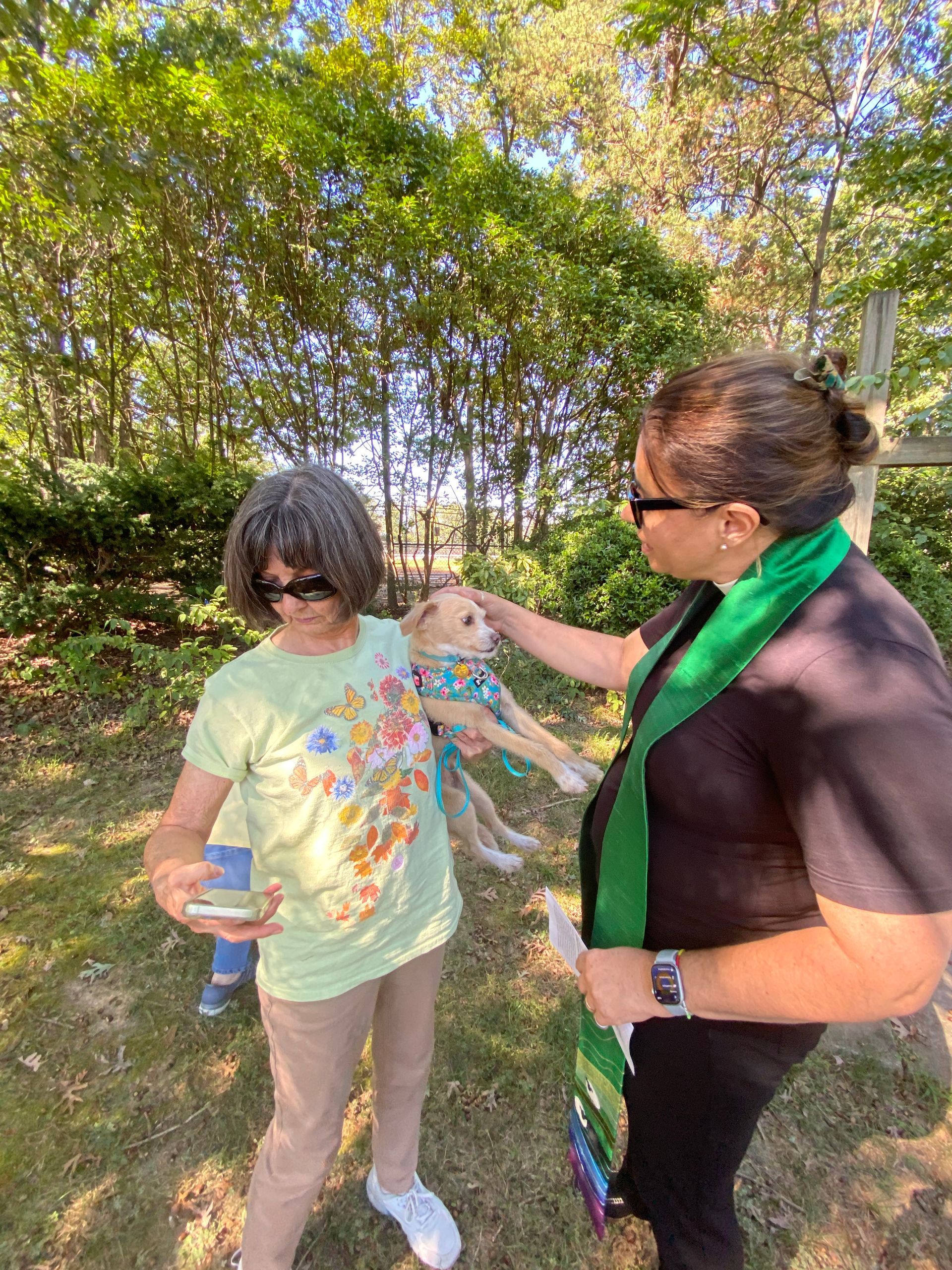 Pet Blessings