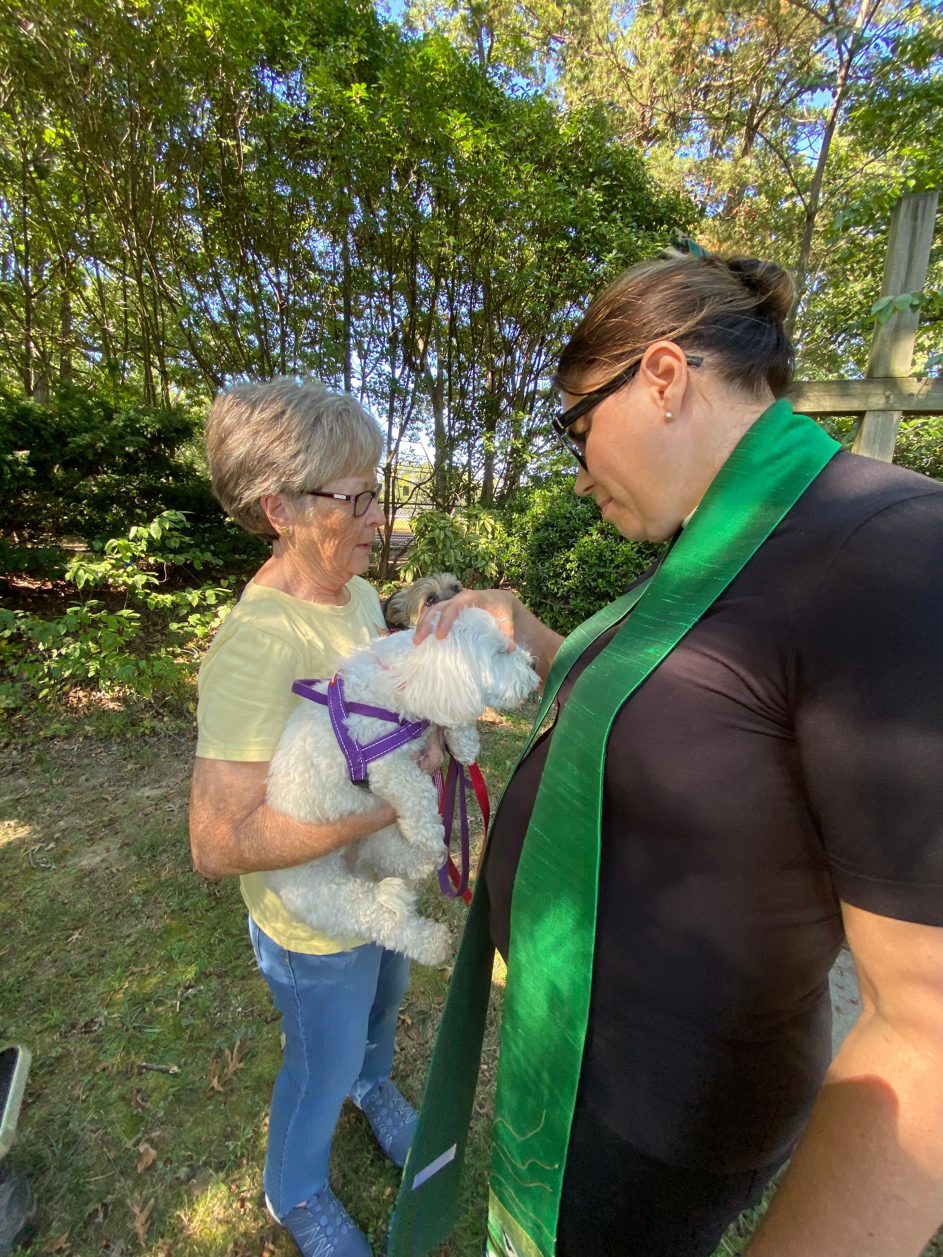 Pet Blessings