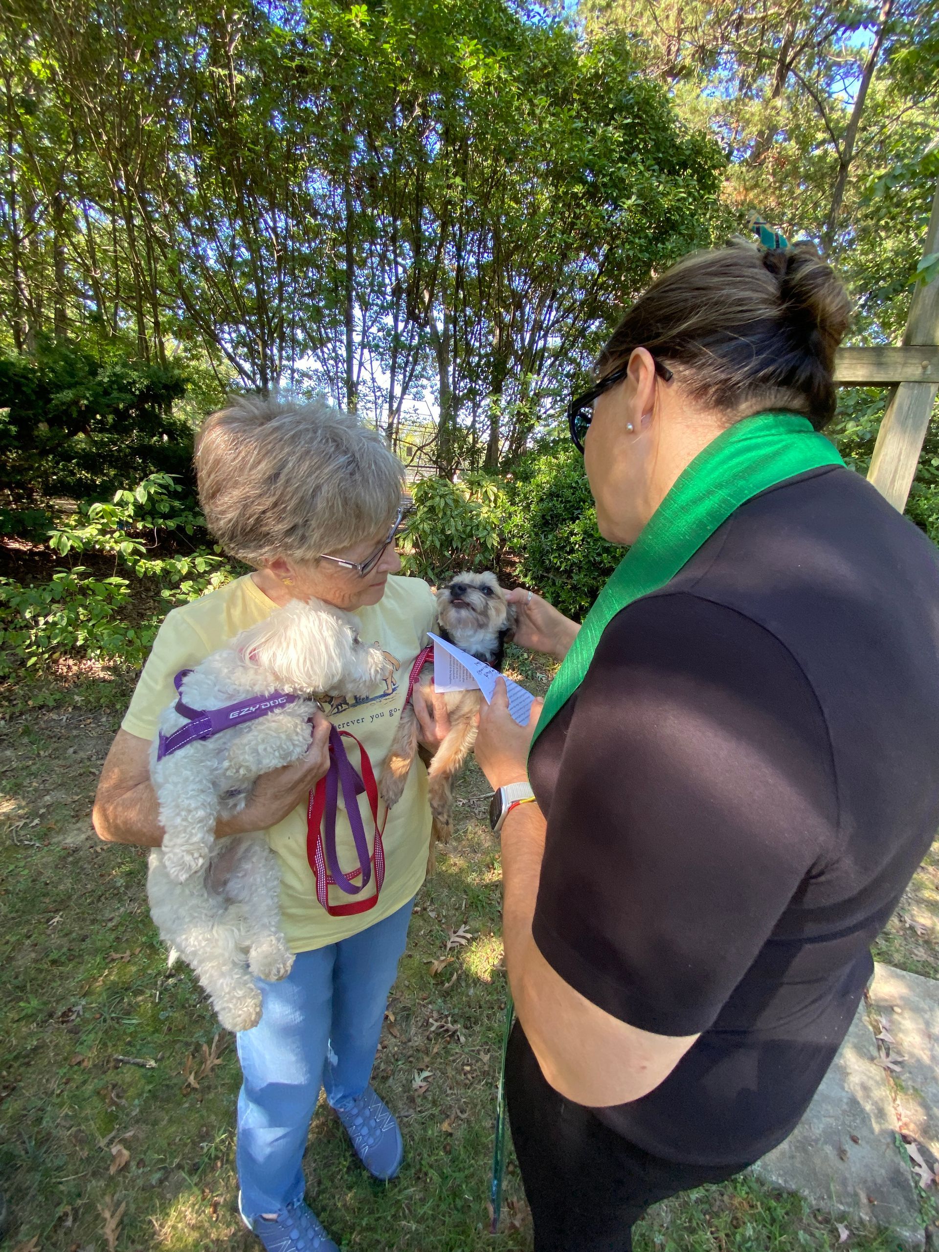Pet Blessings