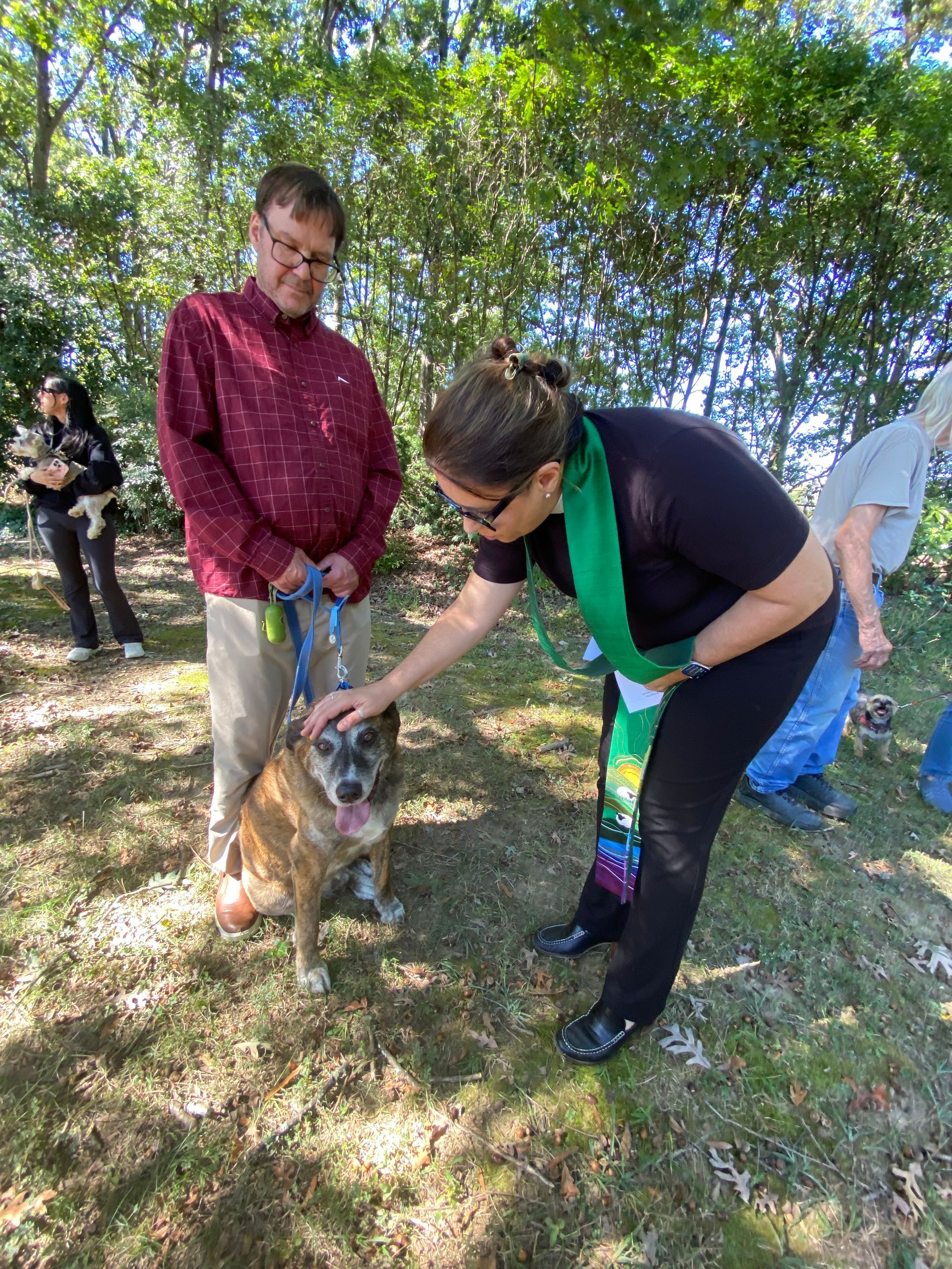 Pet Blessings