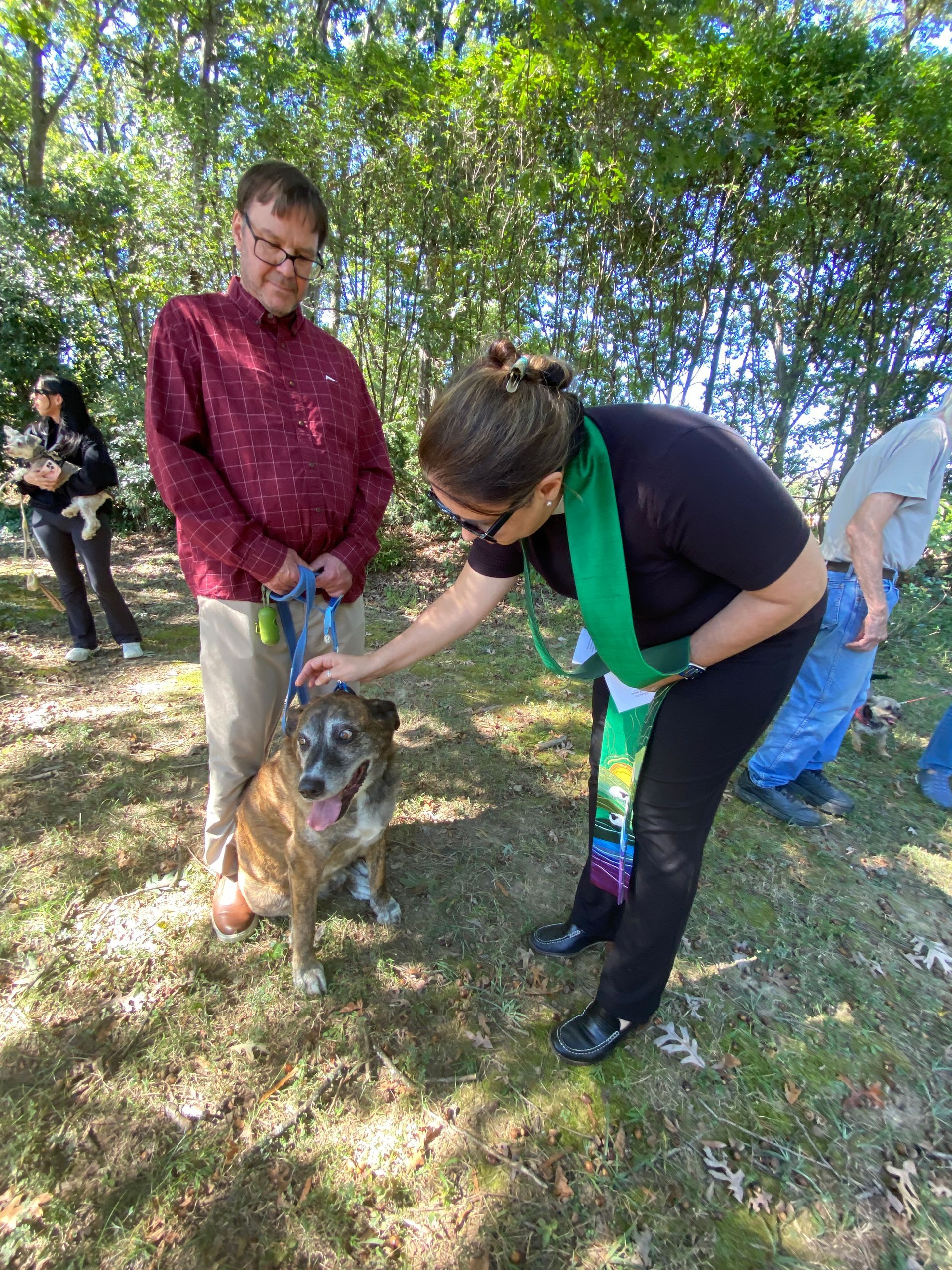 Pet Blessings