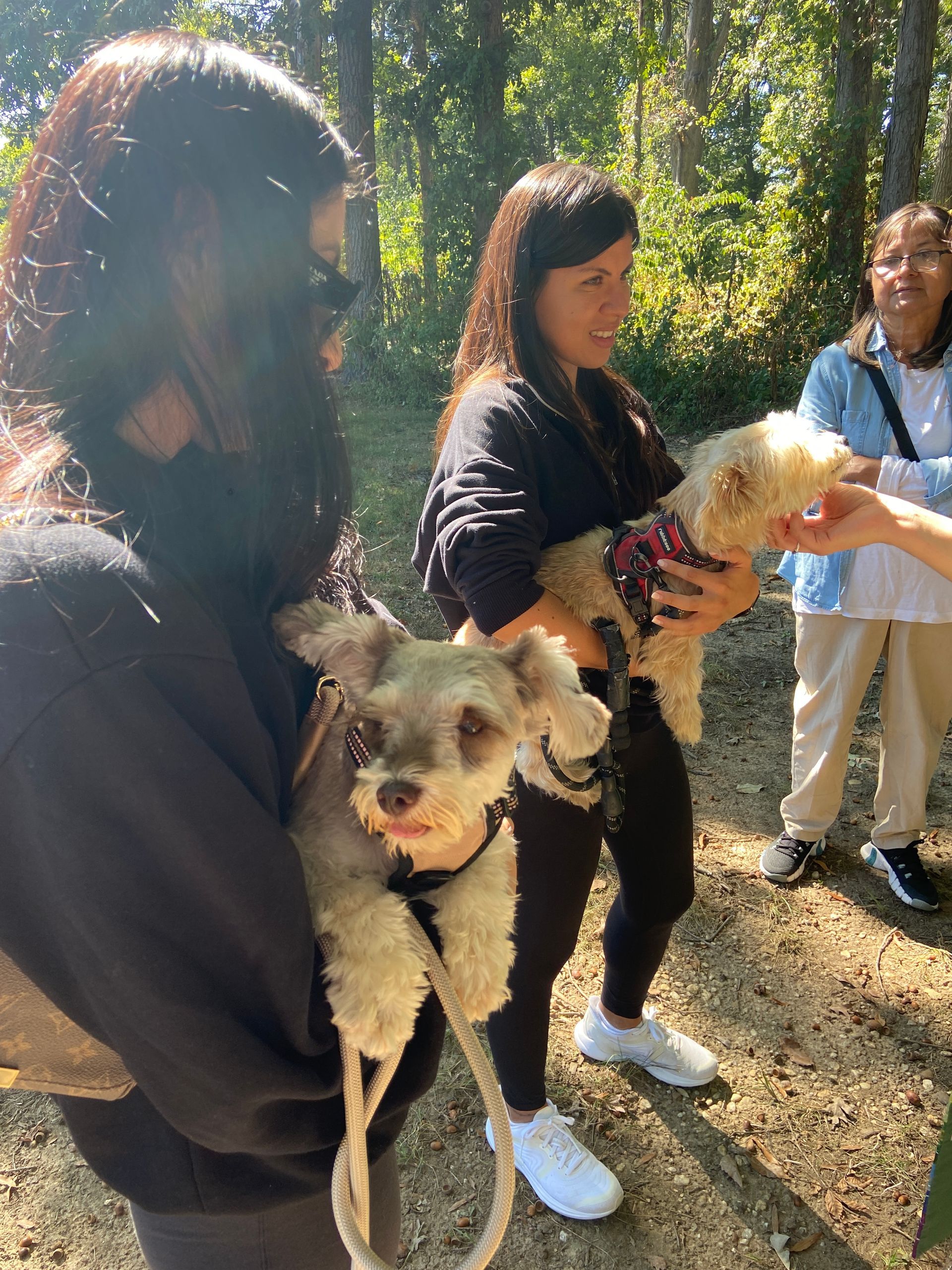 Pet Blessings