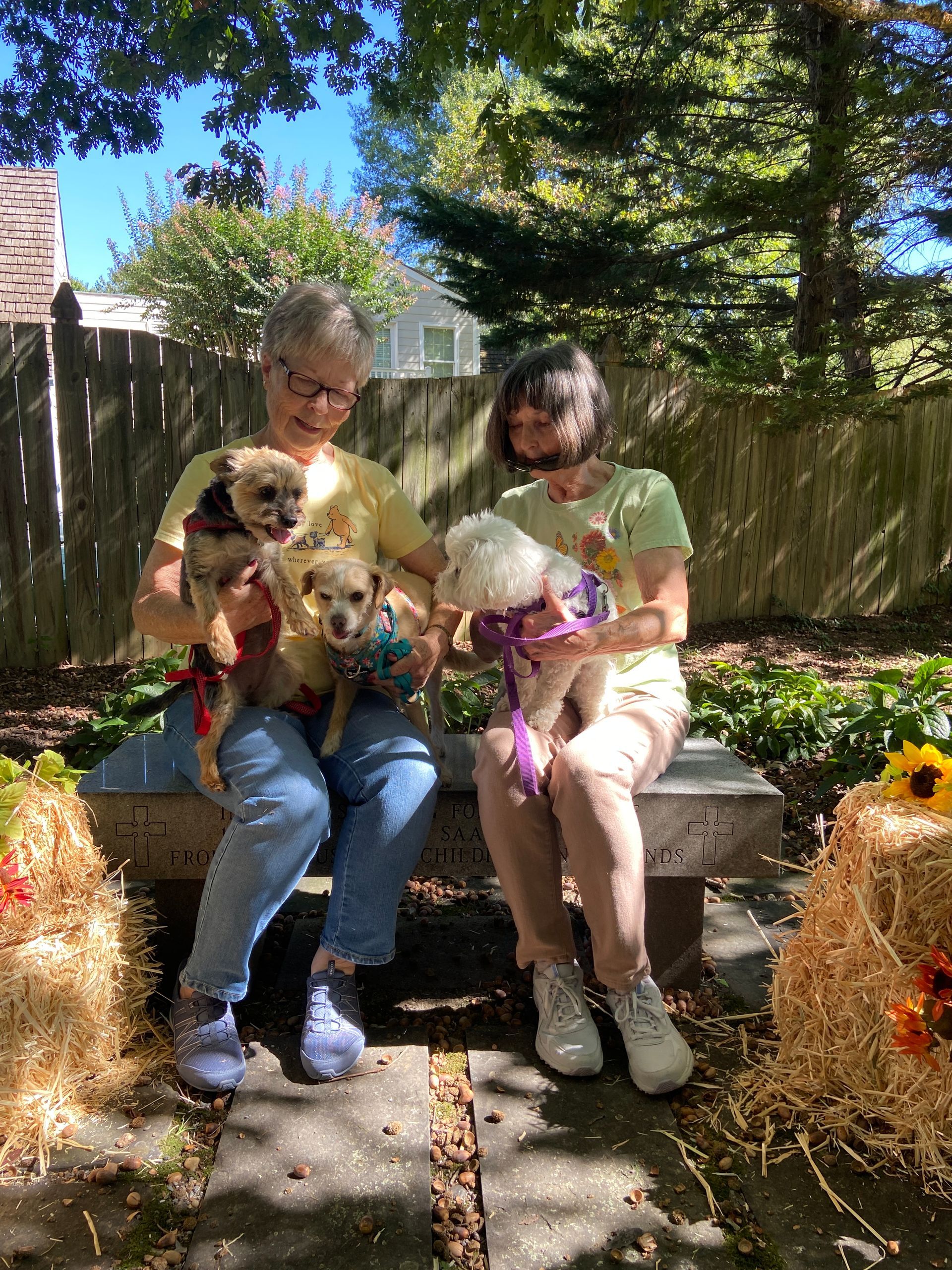 Pet Blessings