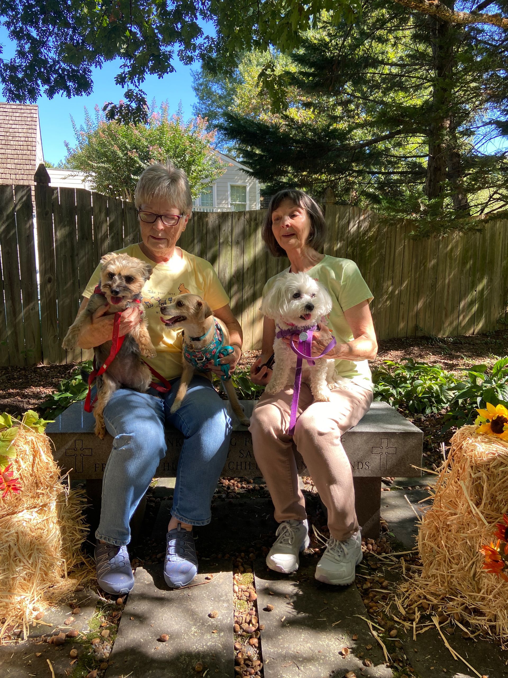 Pet Blessings