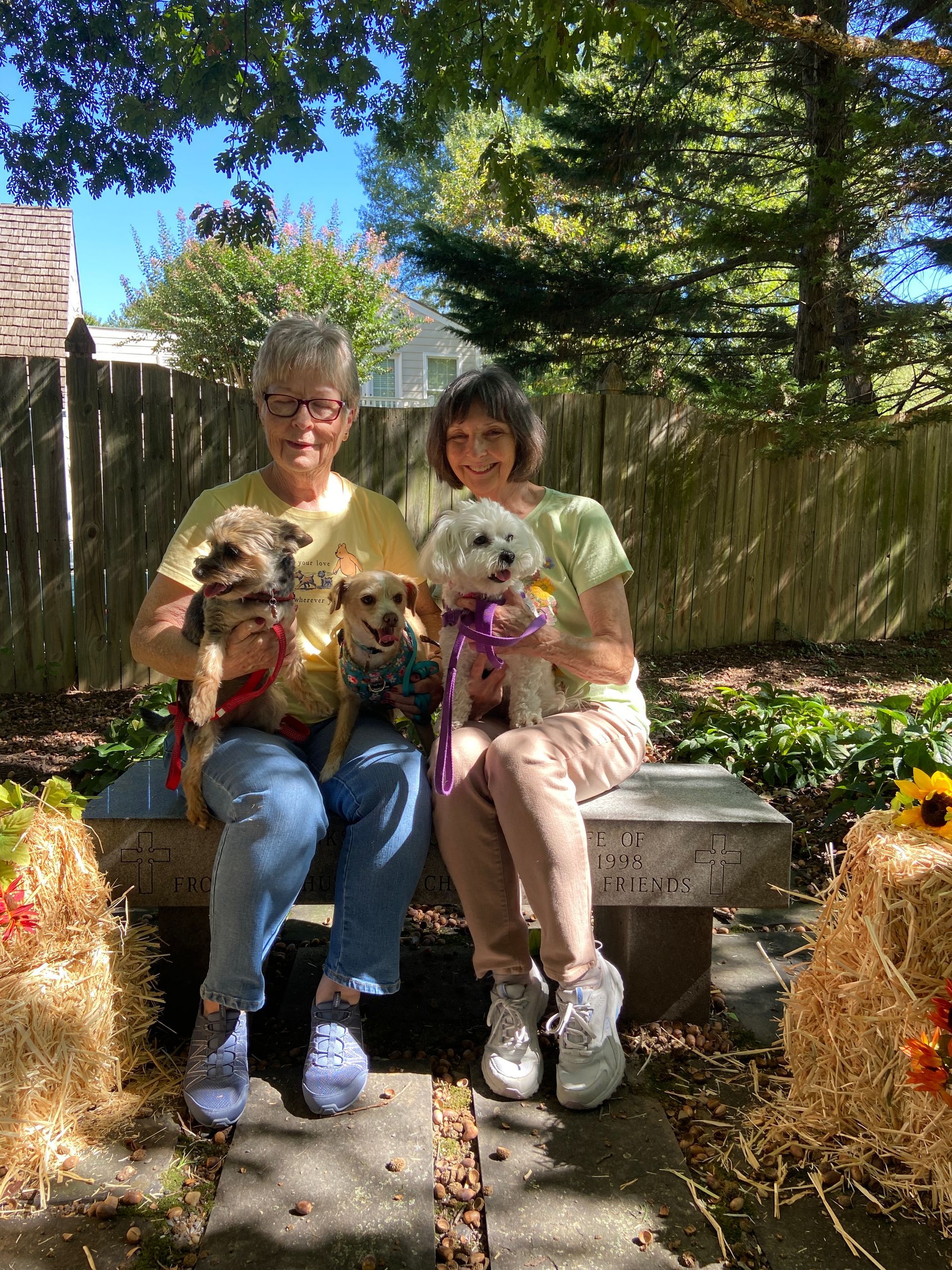Pet Blessings