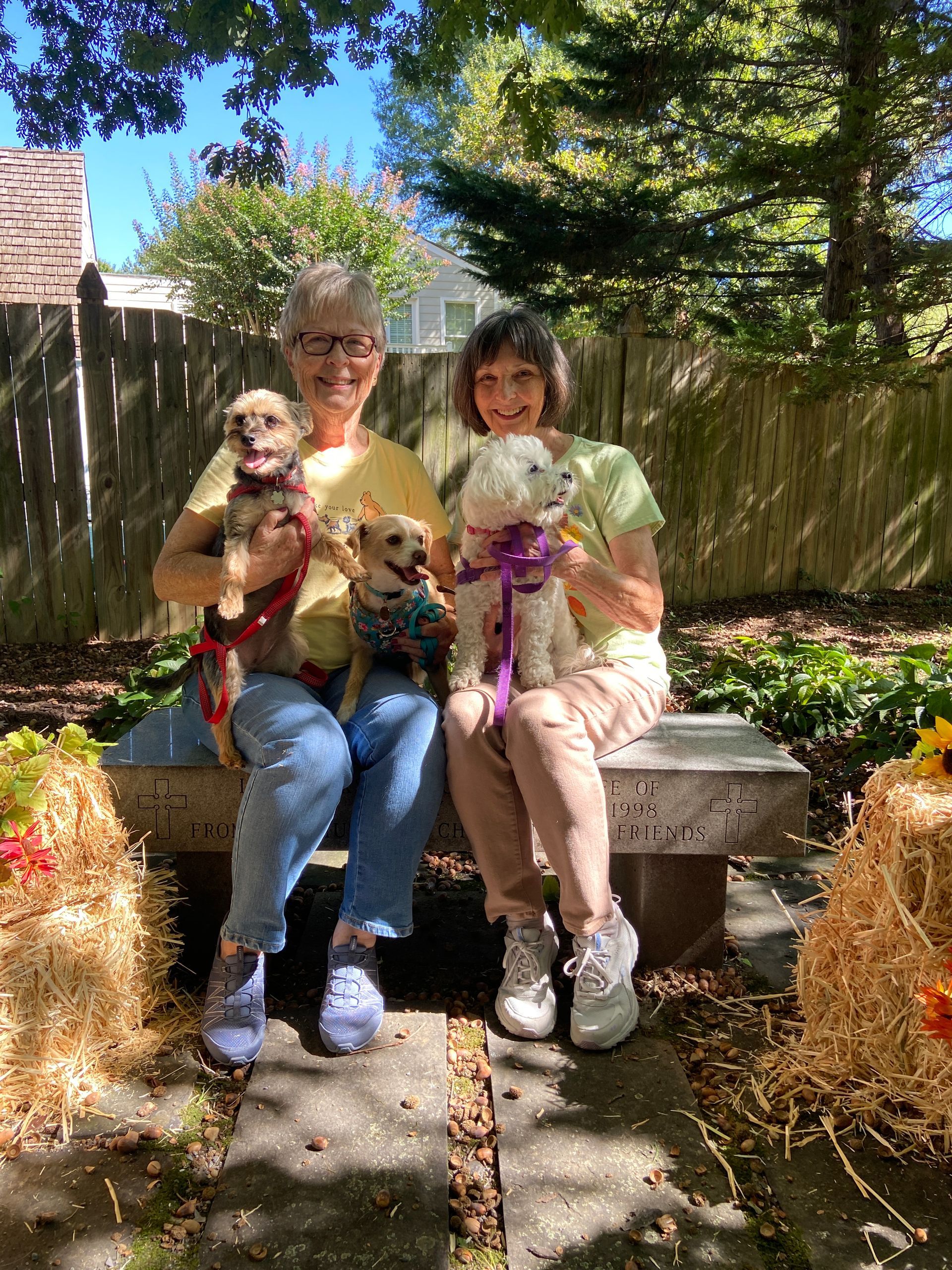 Pet Blessings