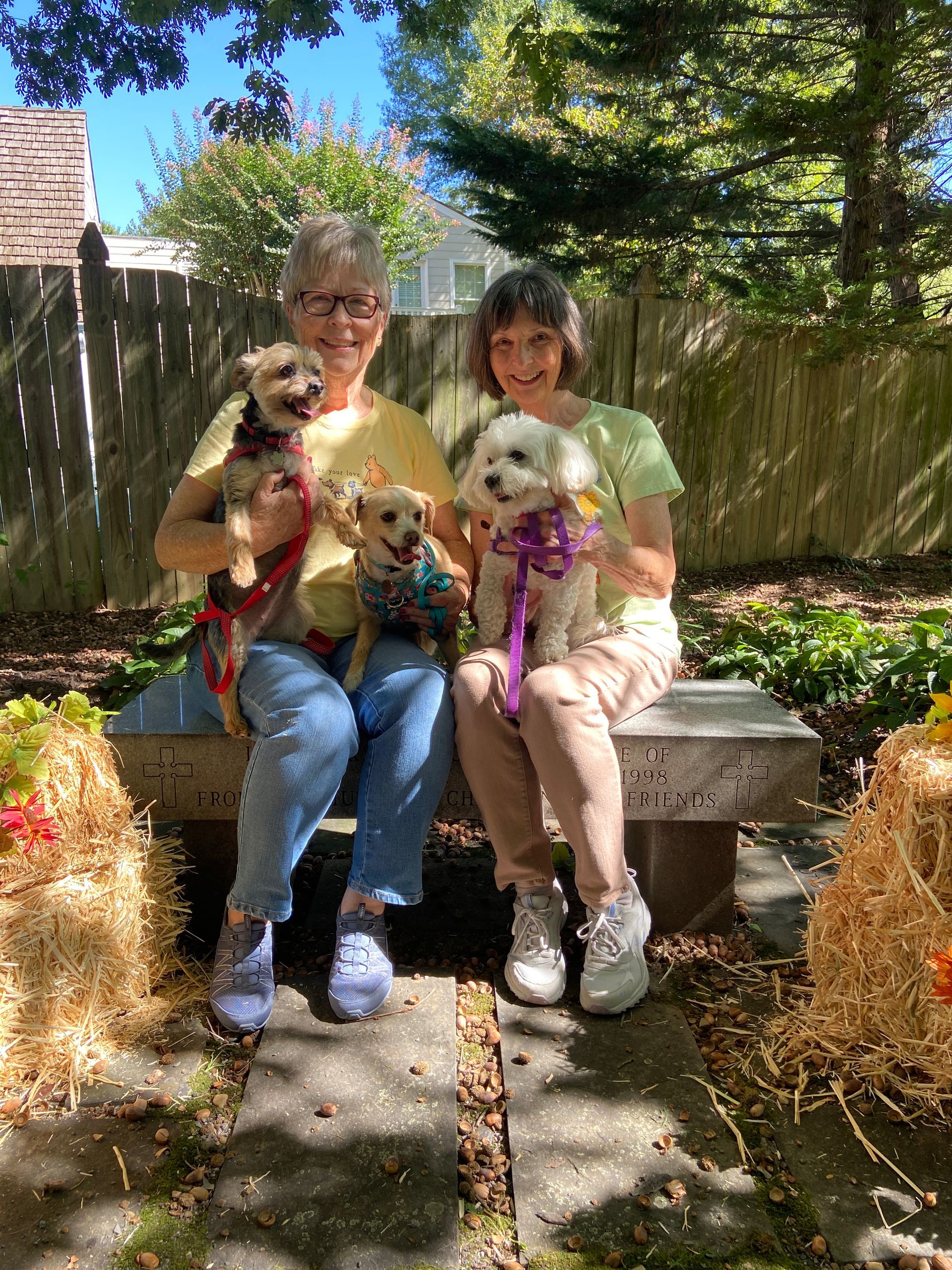 Pet Blessings