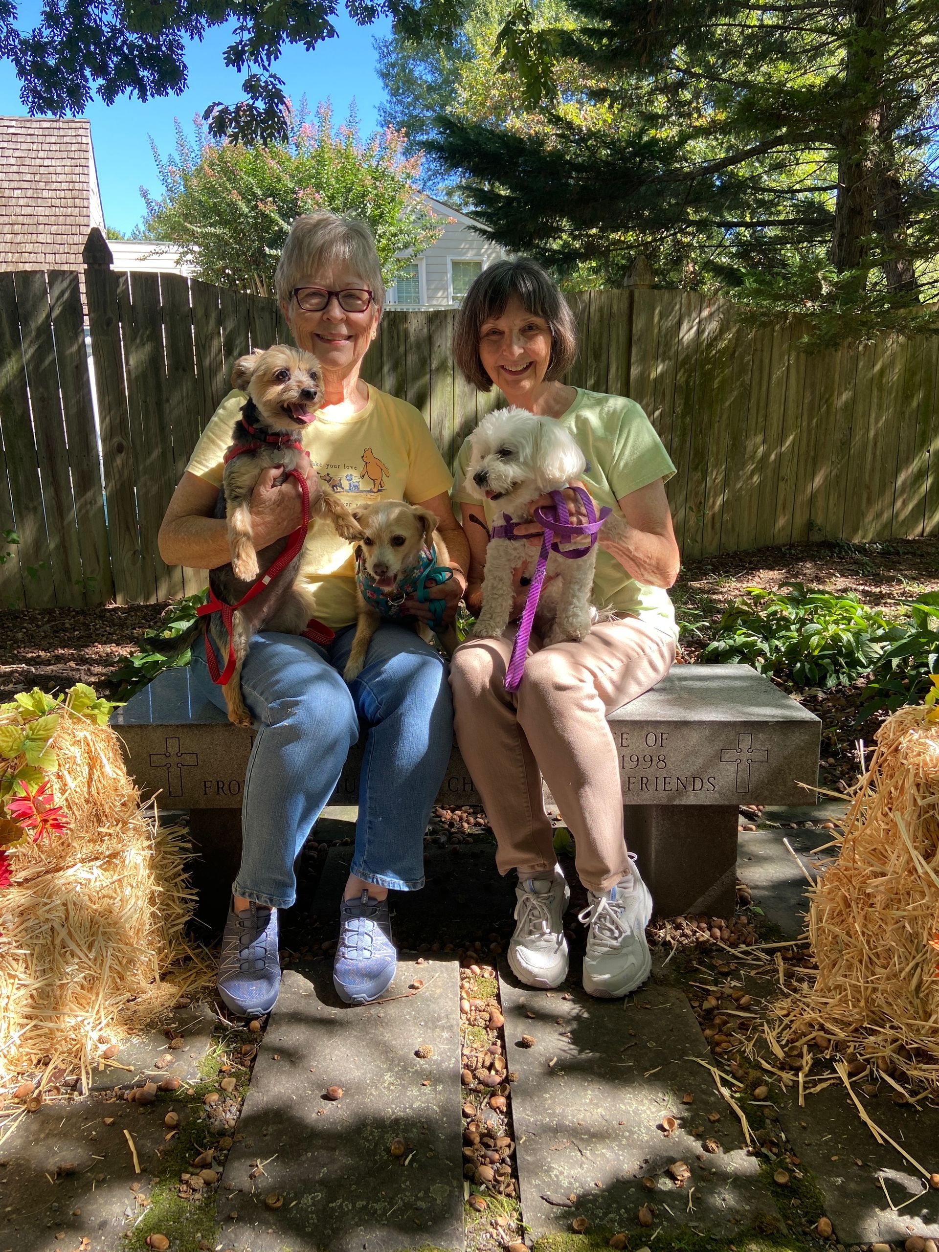 Pet Blessings