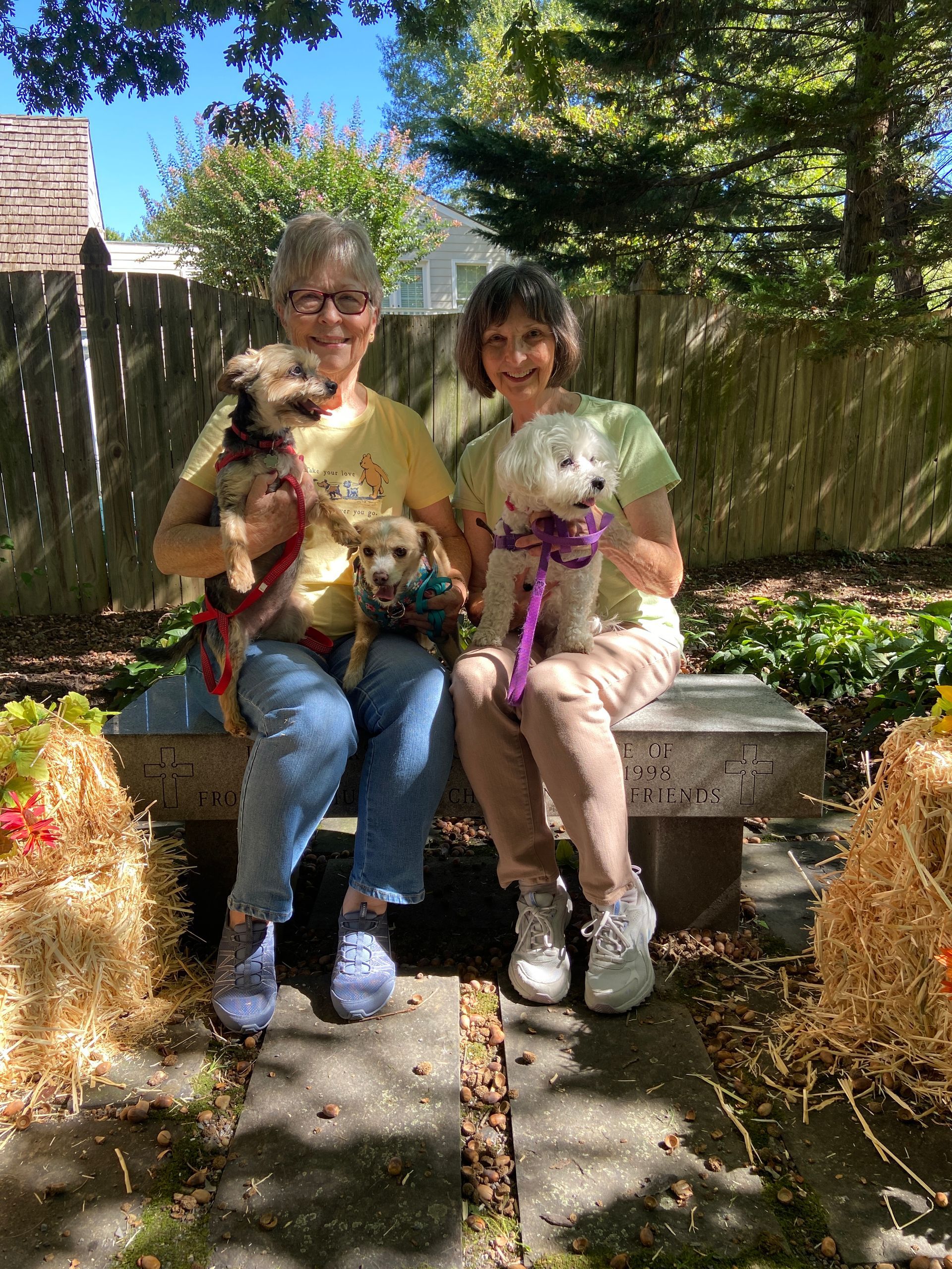 Pet Blessings