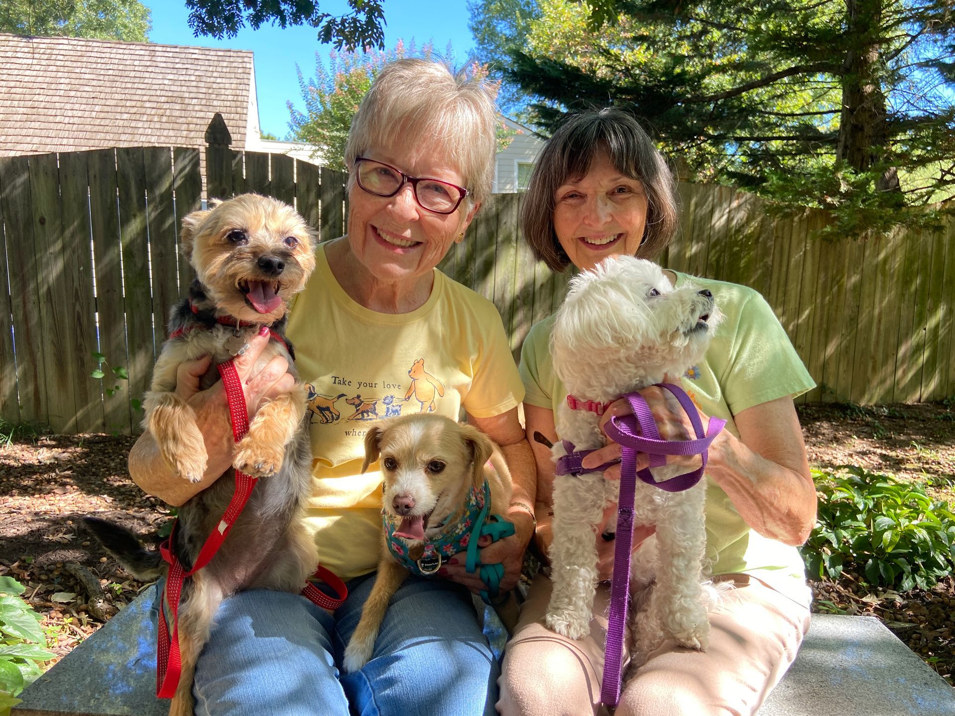 Pet Blessings
