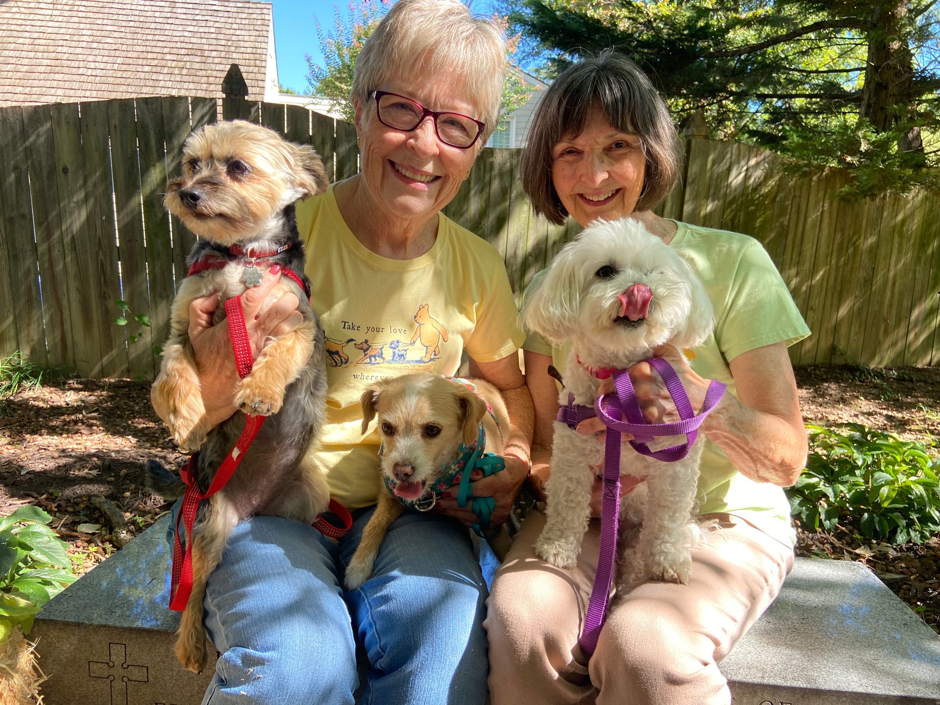 Pet Blessings