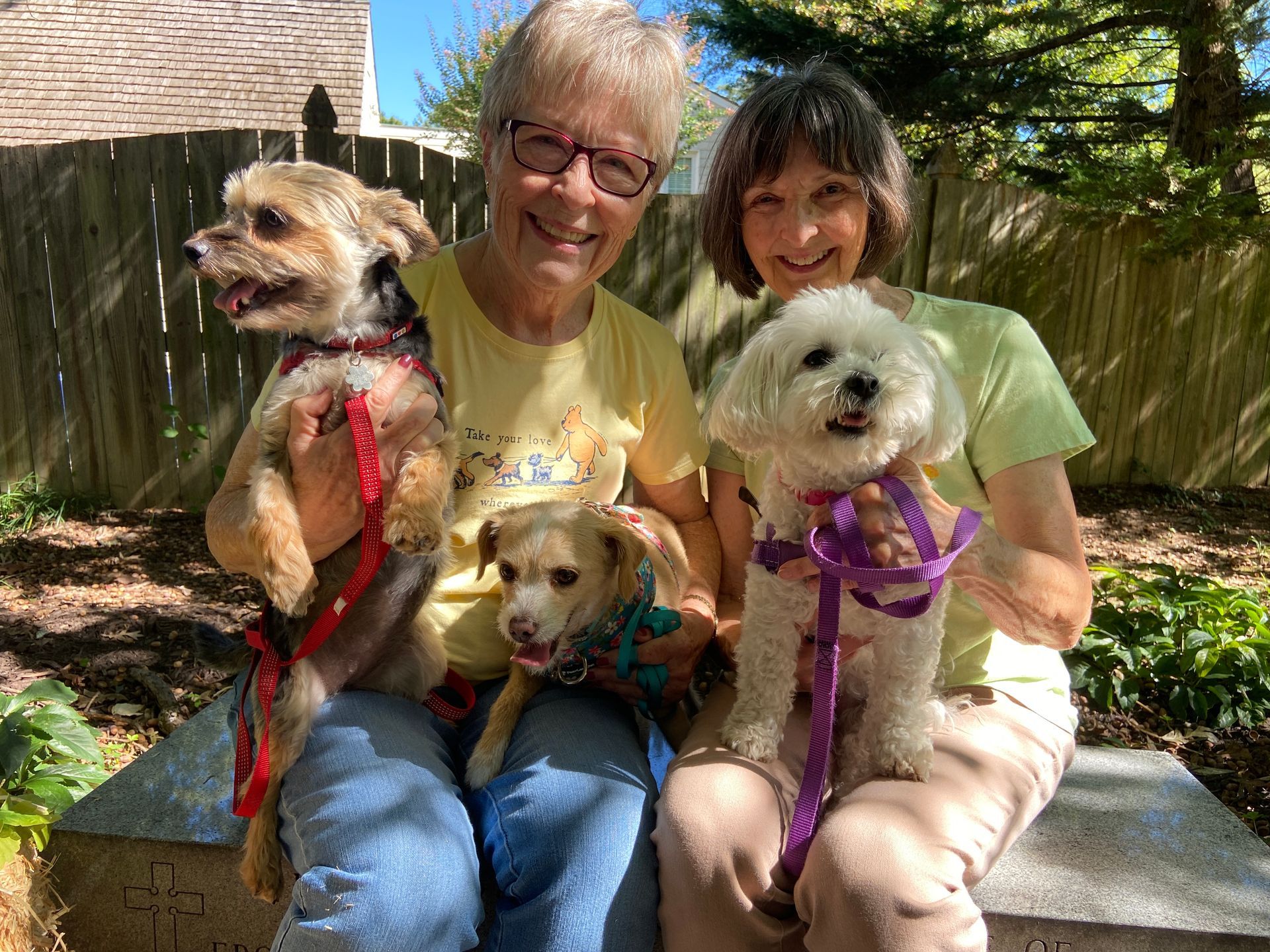Pet Blessings