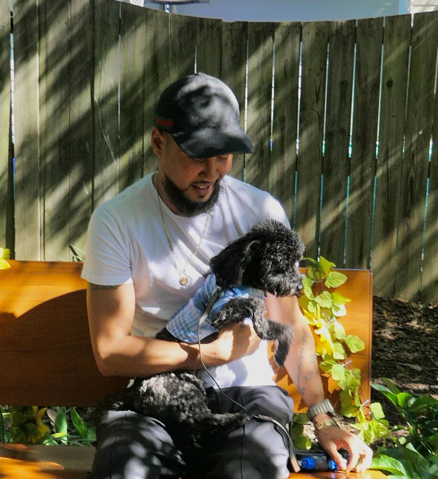 Pet Blessings
