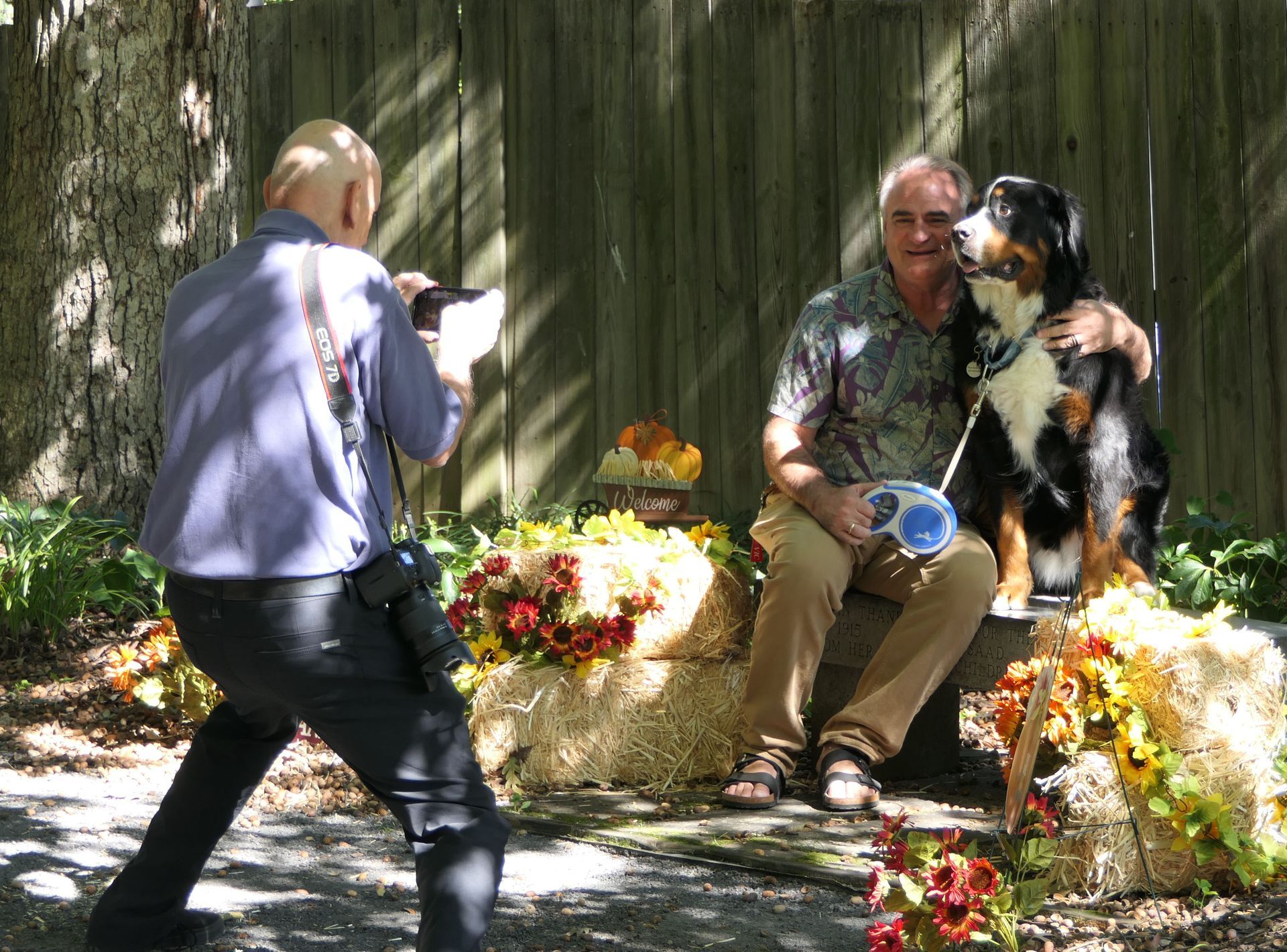Pet Blessings