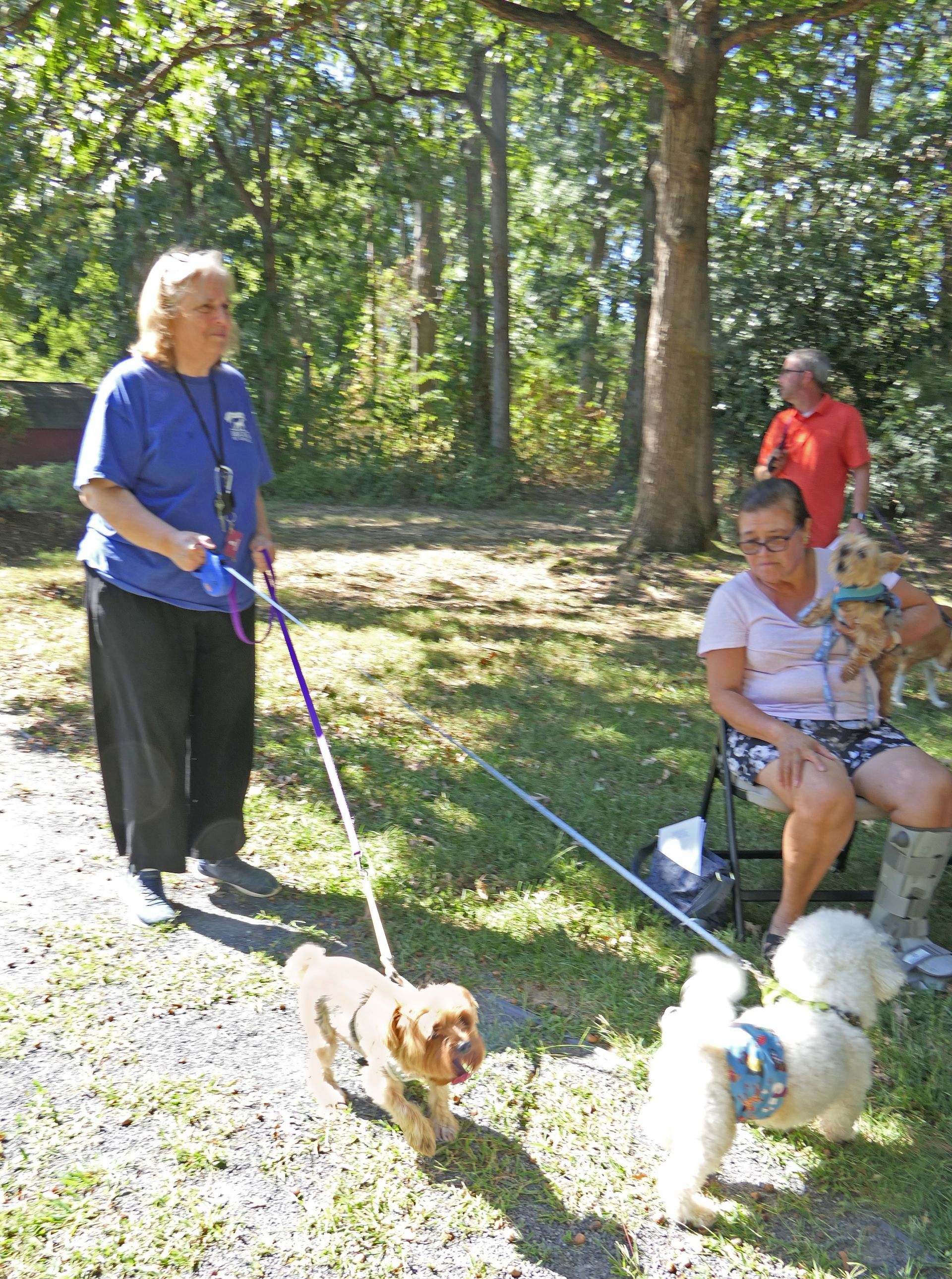 Pet Blessings