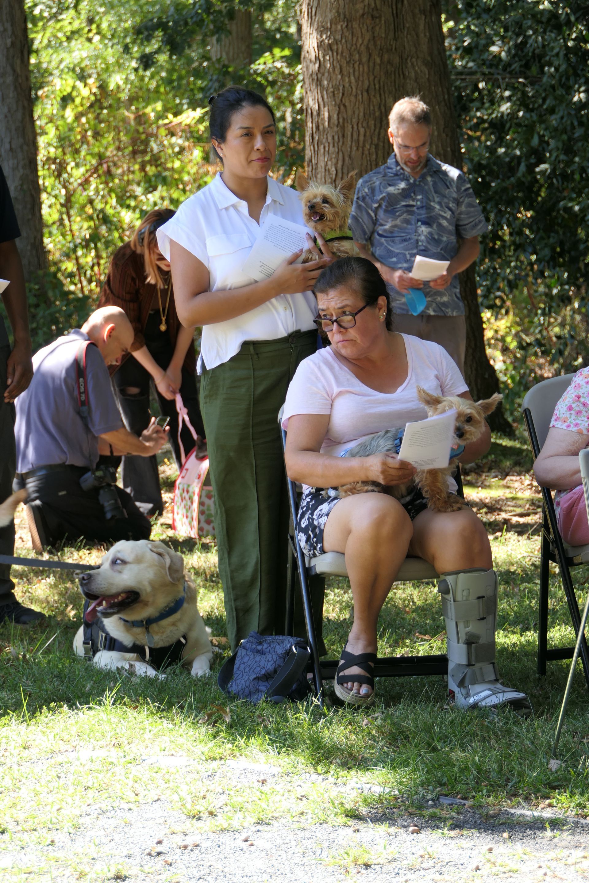 Pet Blessings