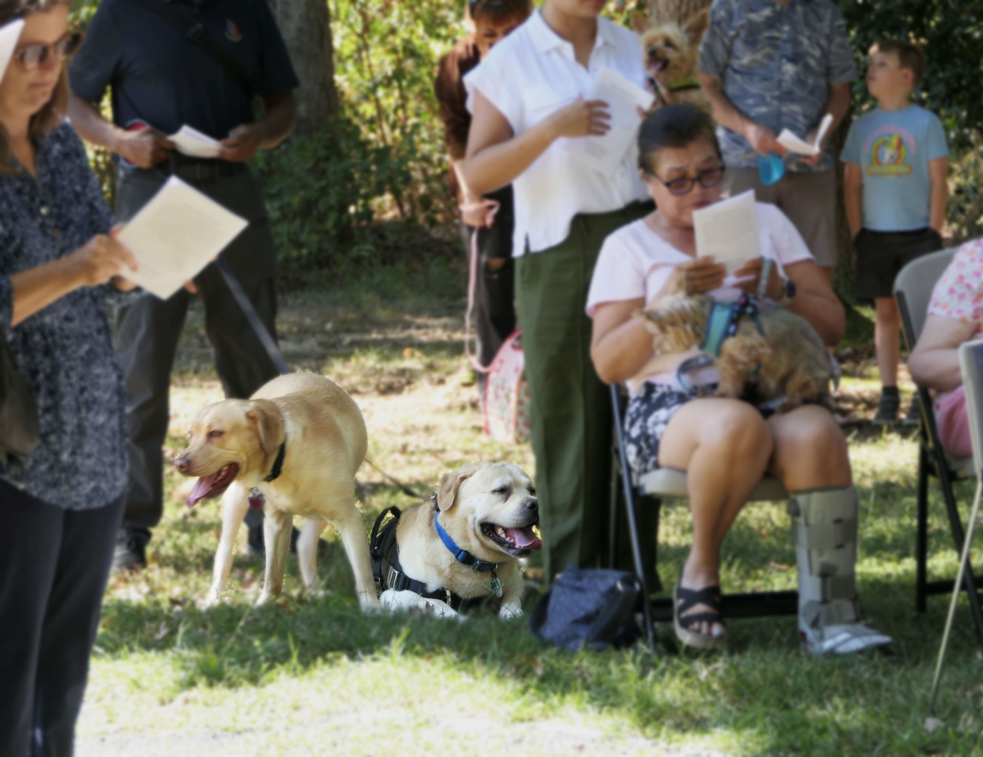 Pet Blessings