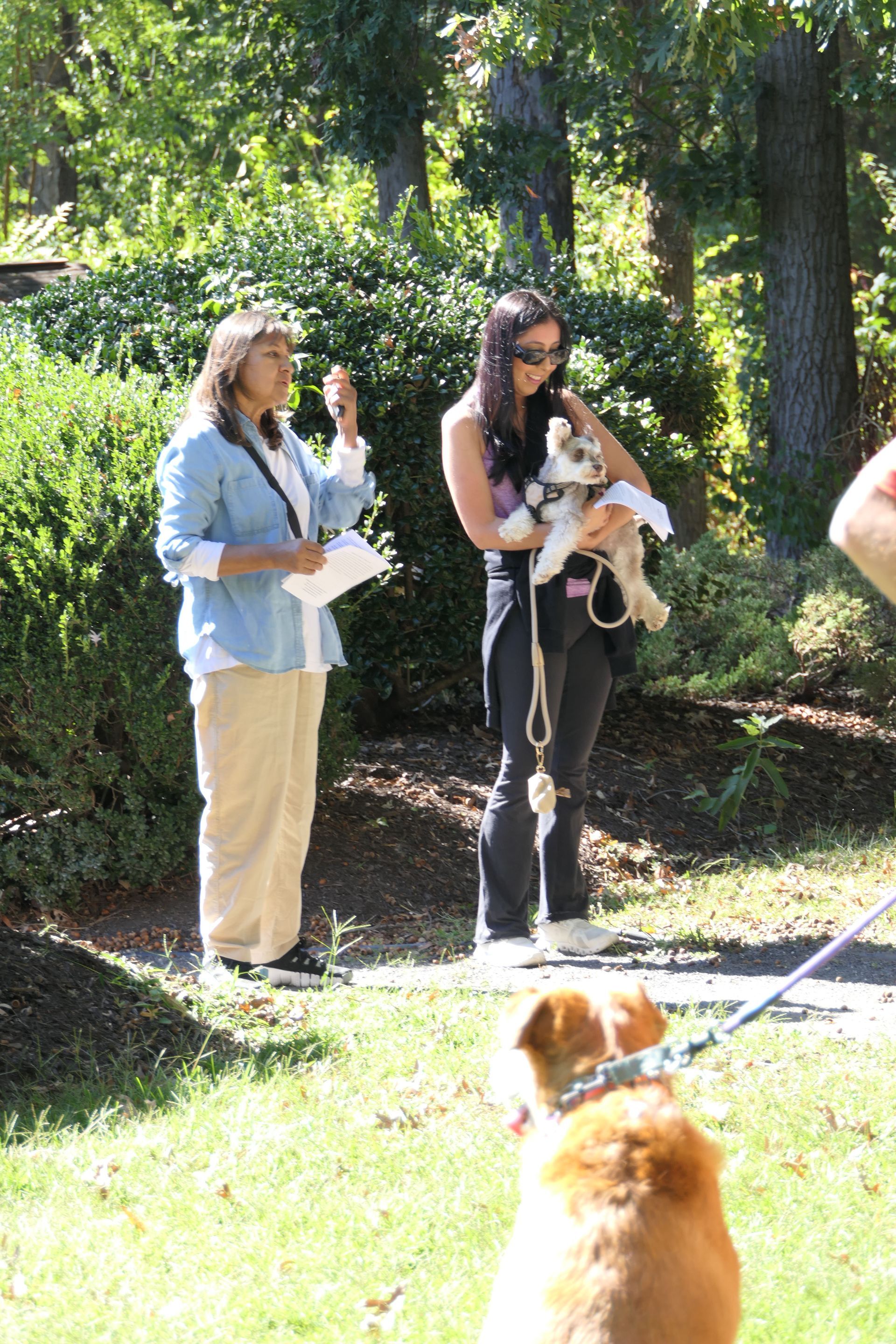 Pet Blessings