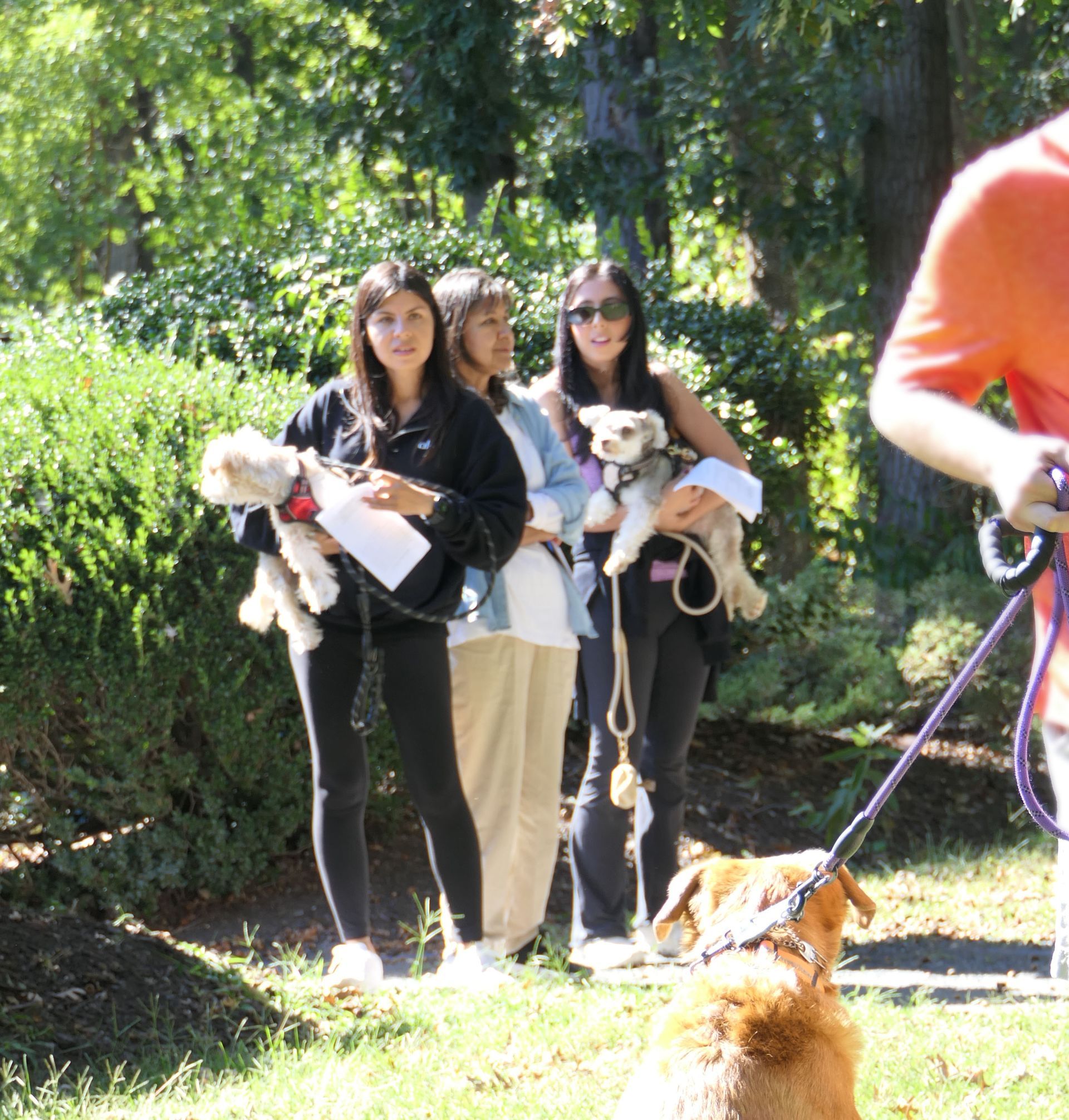 Pet Blessings