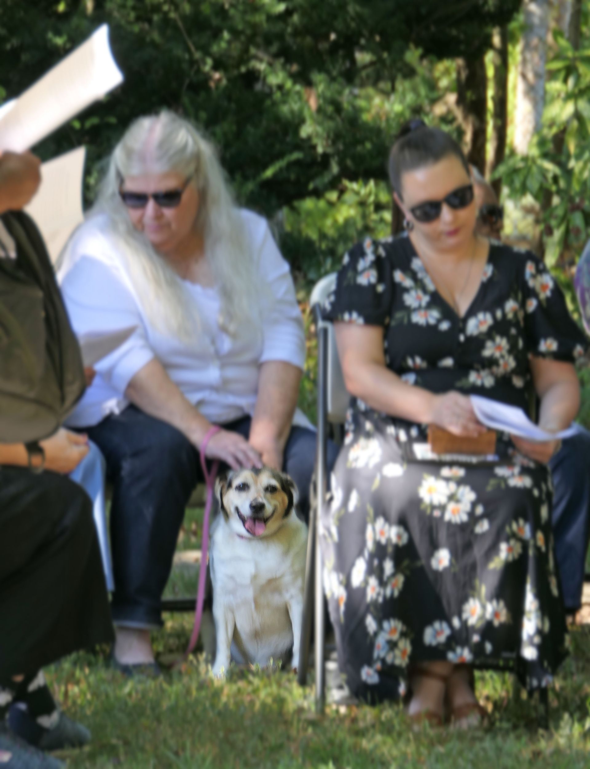 Pet Blessings