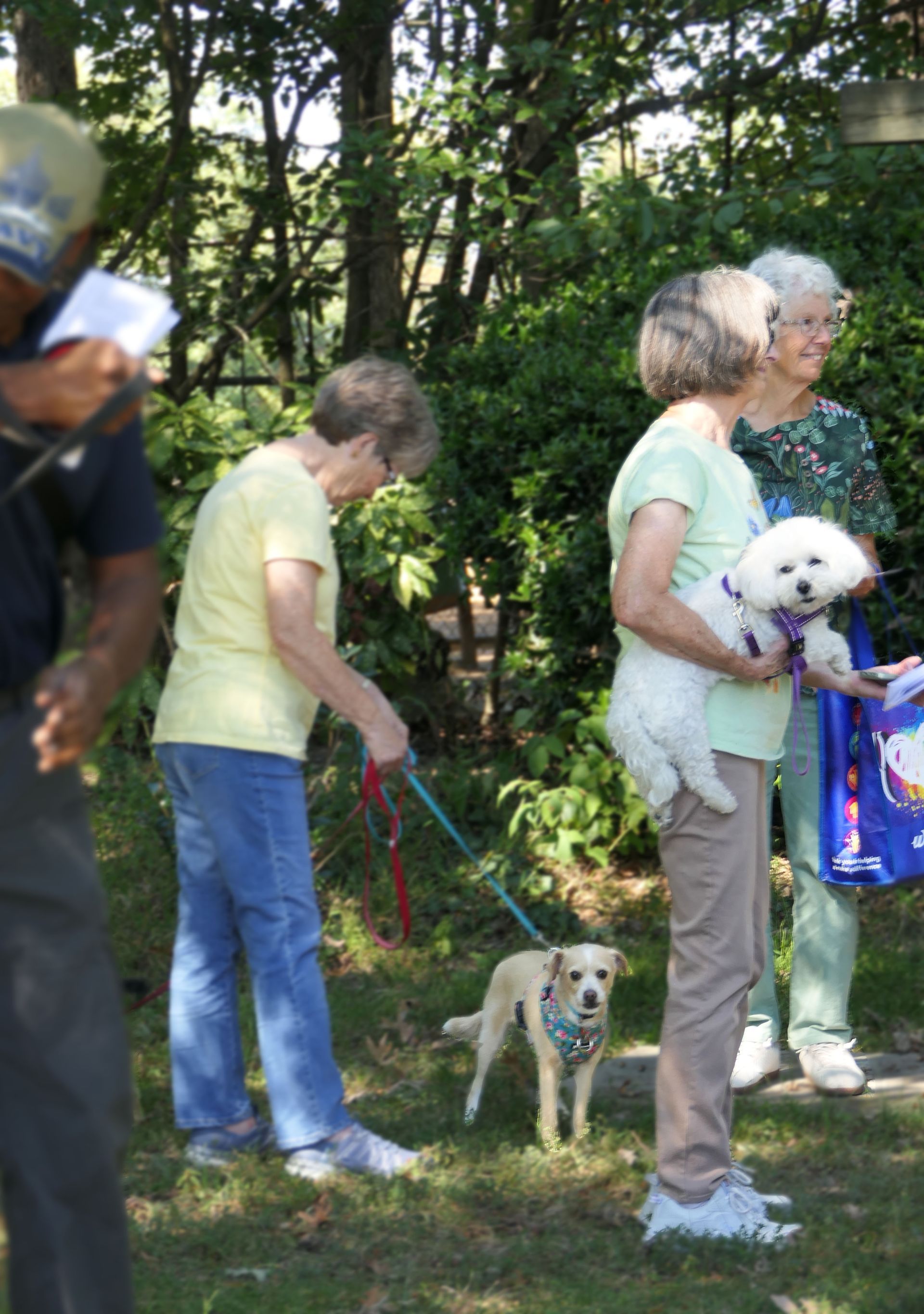 Pet Blessings