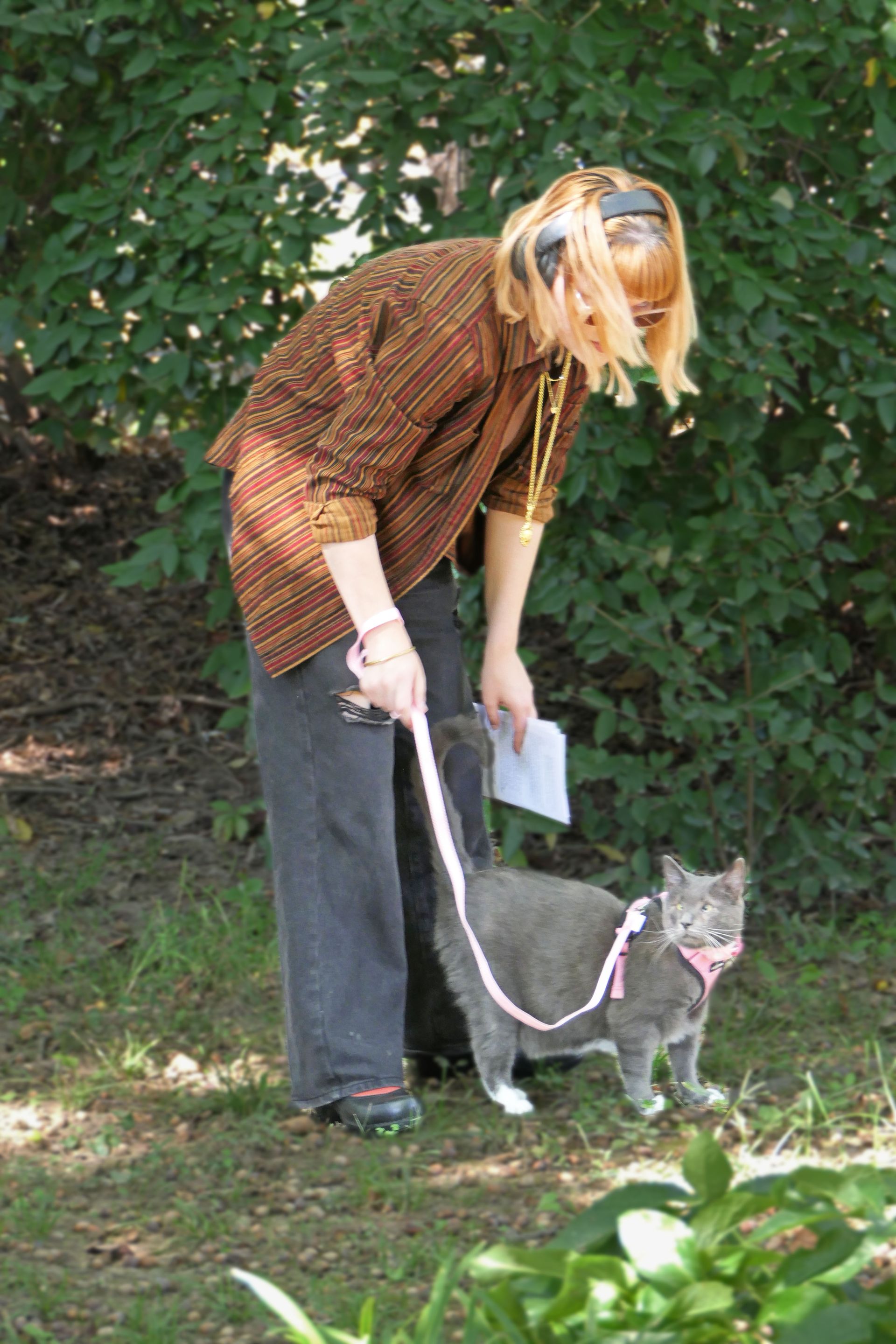 Pet Blessings