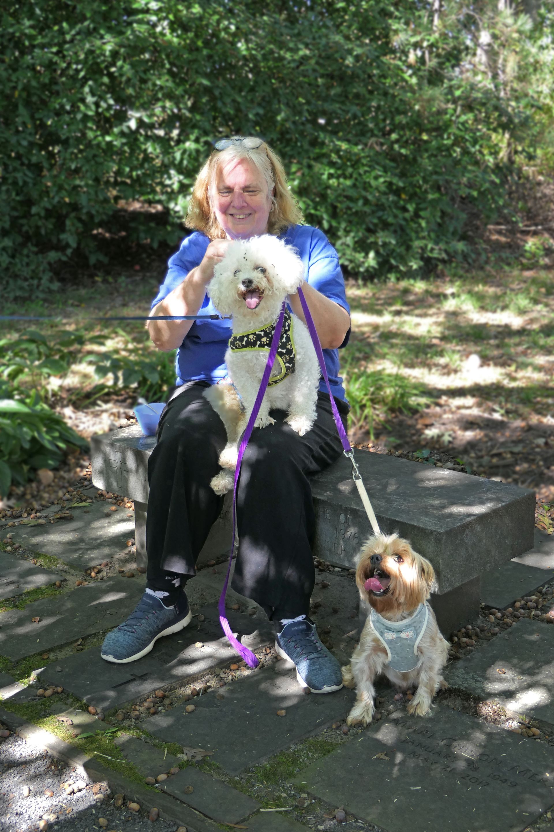 Pet Blessings