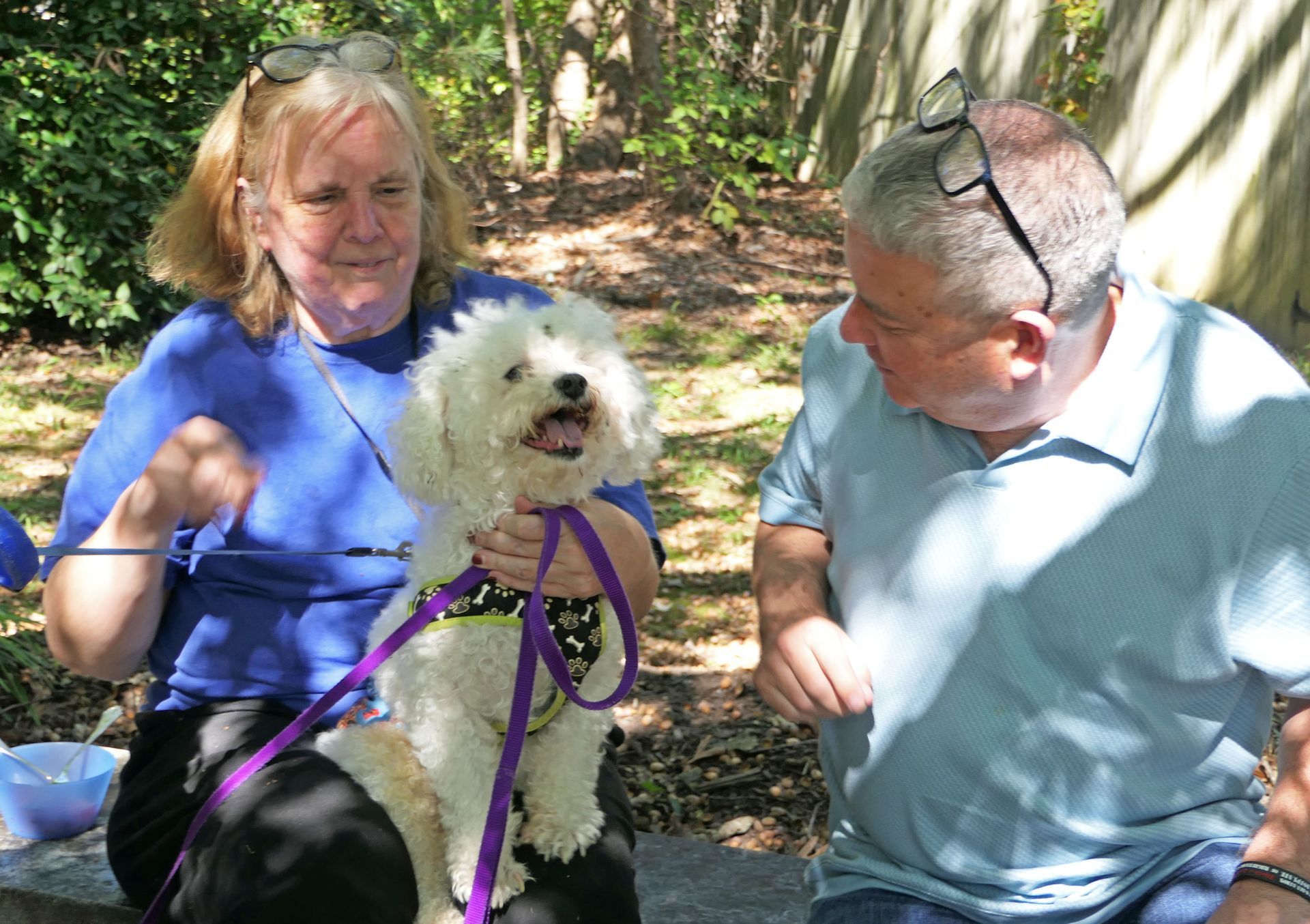 Pet Blessings