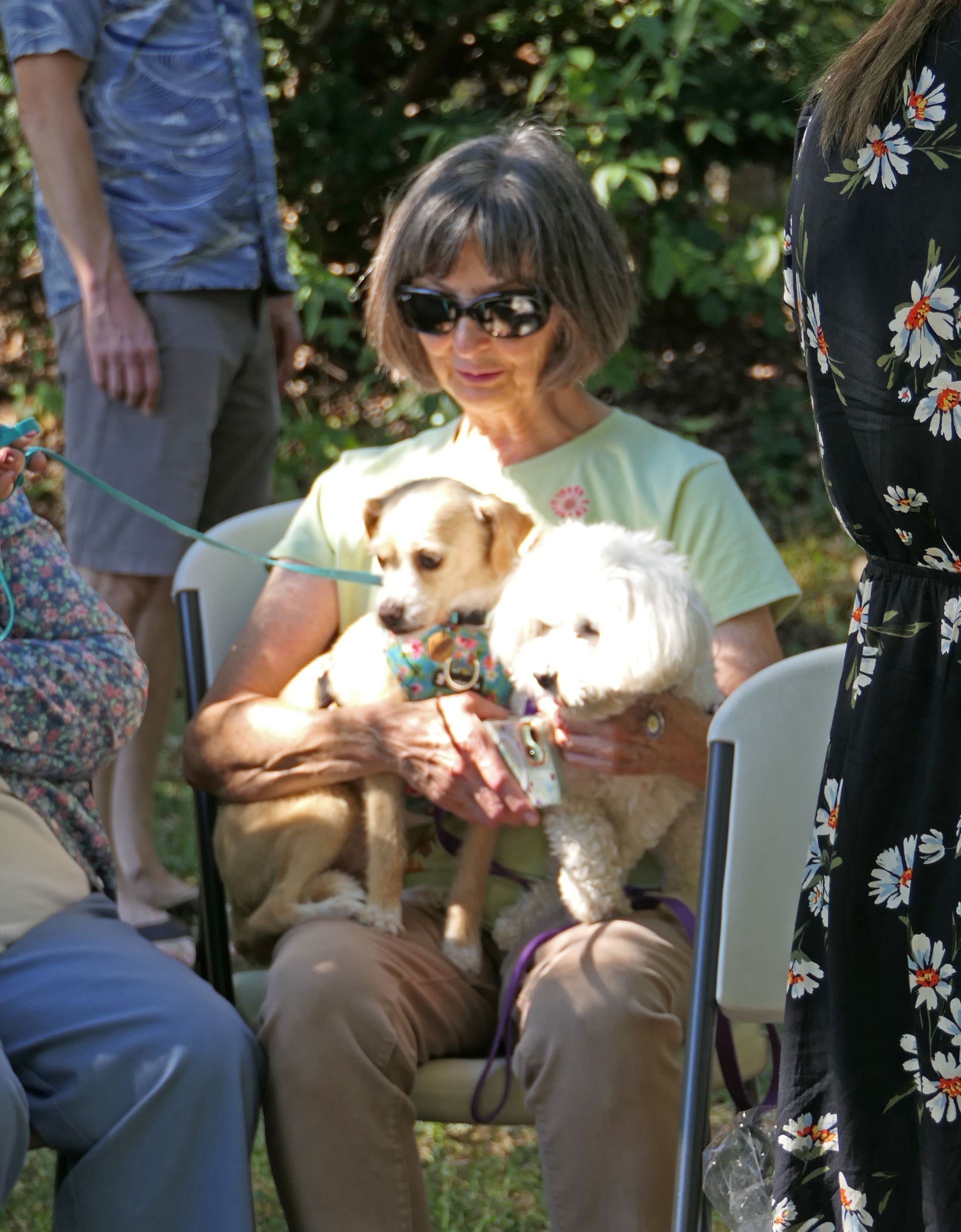 Pet Blessings