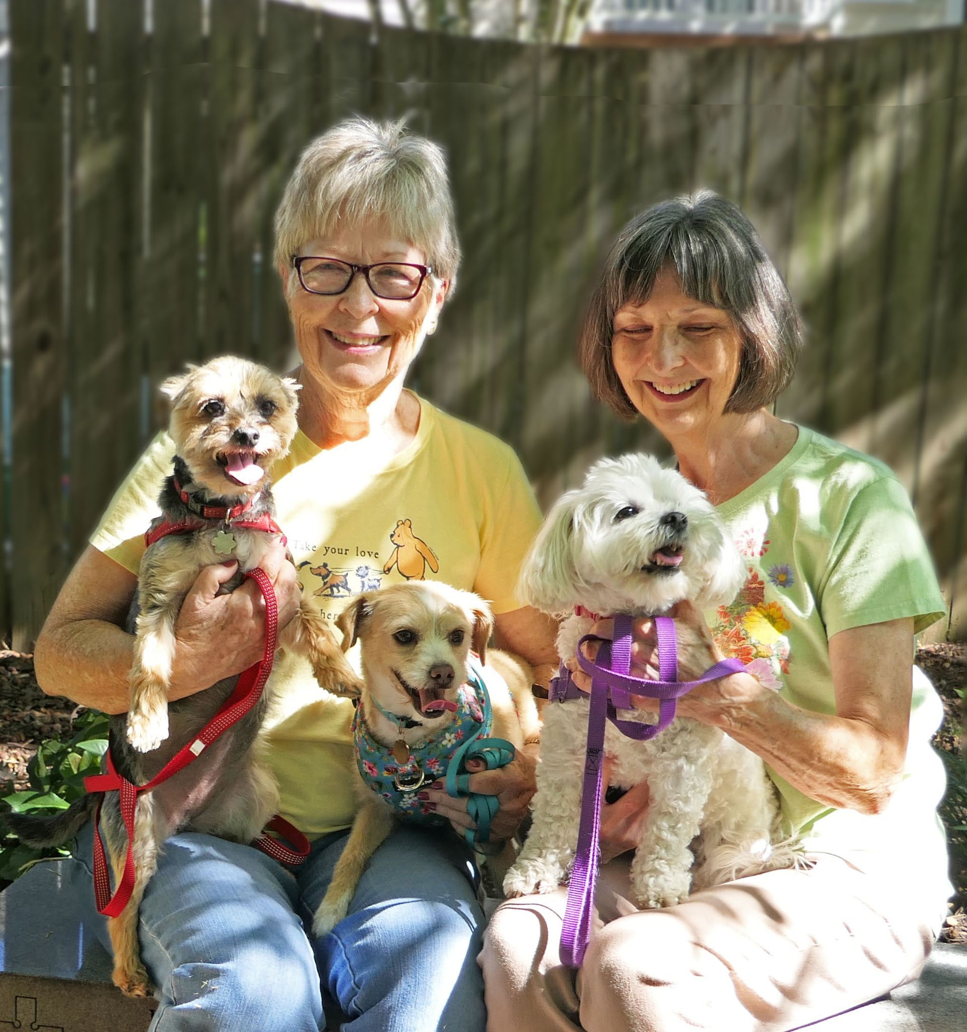 Pet Blessings