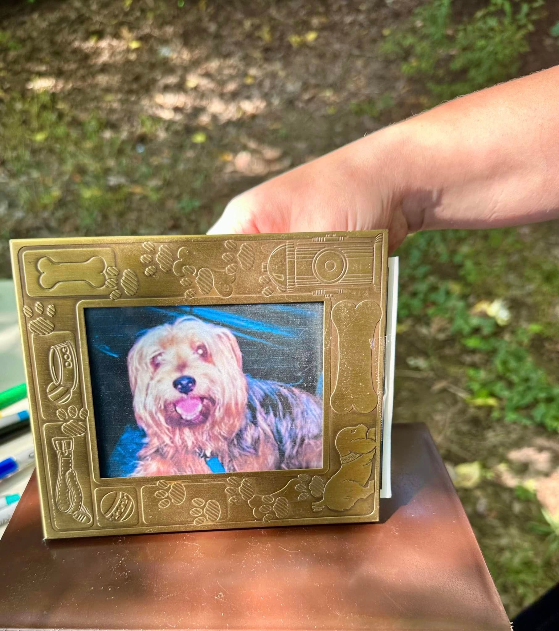 Pet Blessings