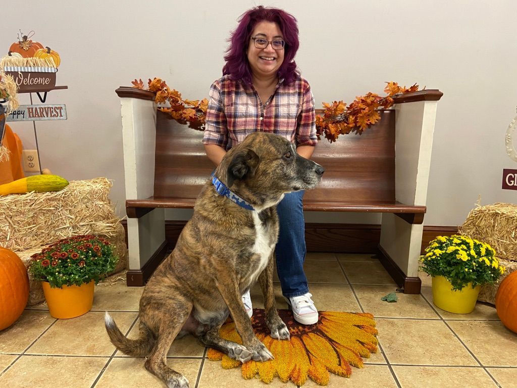 Pet Blessings